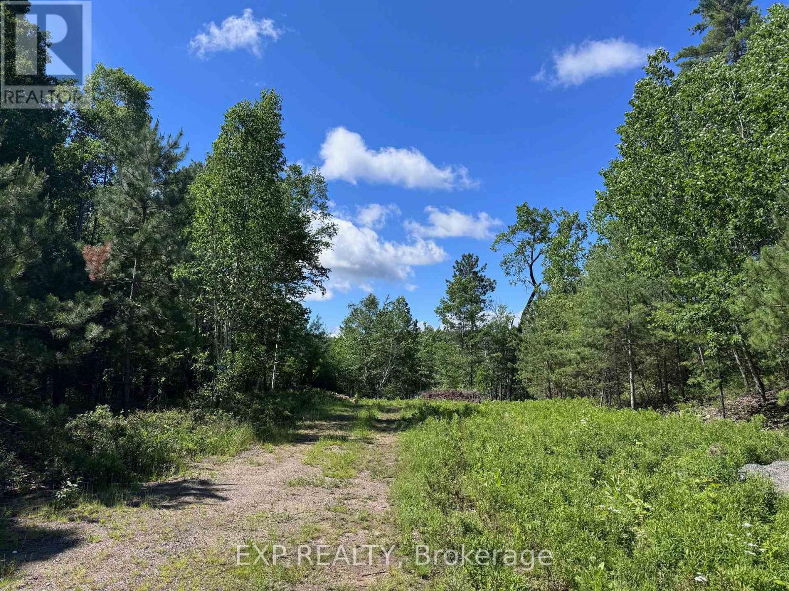 3395a Old Barry's Bay Road, Madawaska Valley, Ontario K0J 1B0 - Photo 6 - X13135670