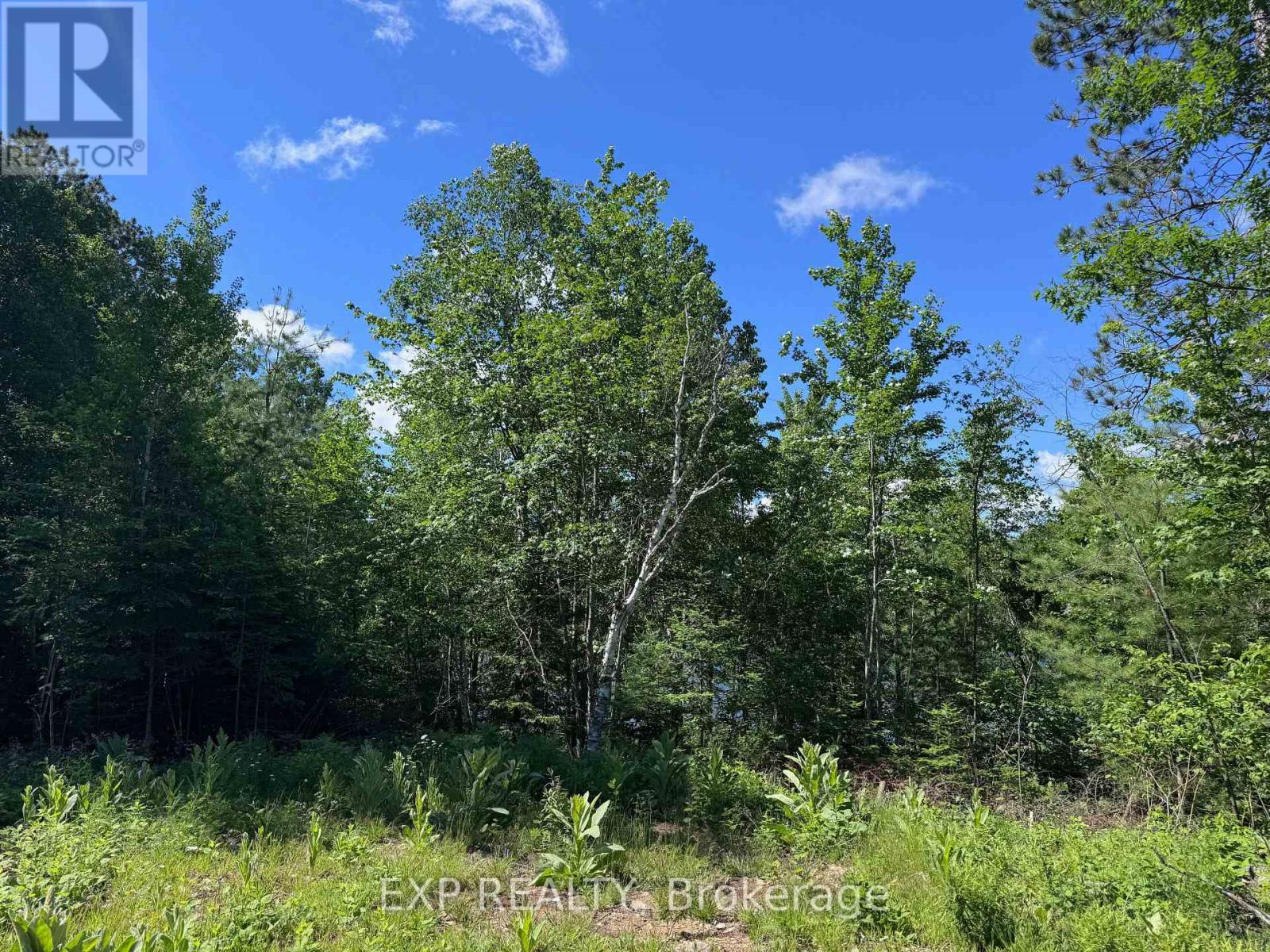 3395a Old Barry's Bay Road, Madawaska Valley, Ontario  K0J 1B0 - Photo 9 - X13135670