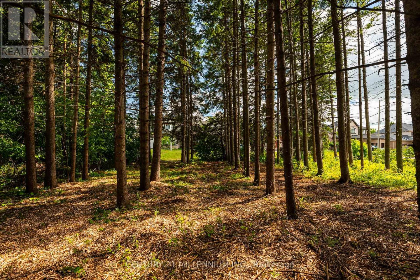 24 Buena Vista Drive, Mono, Ontario  L9W 5K8 - Photo 13 - X13475170