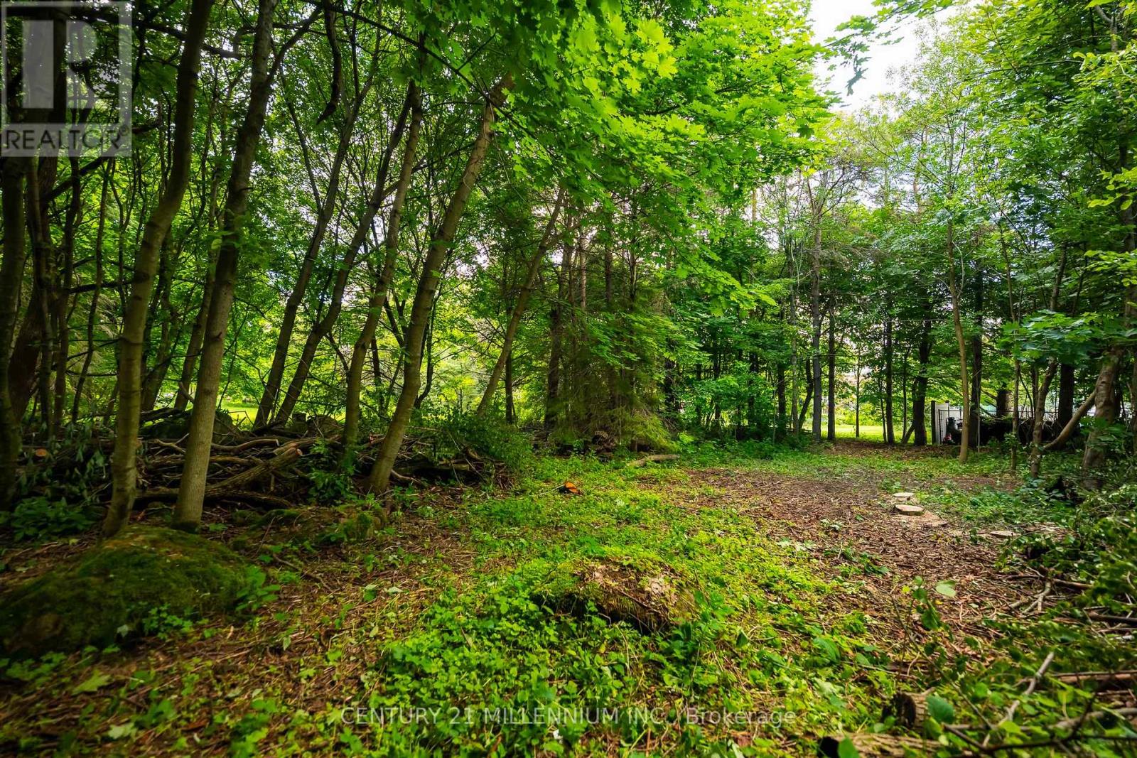 24 Buena Vista Drive, Mono, Ontario  L9W 5K8 - Photo 21 - X13475170