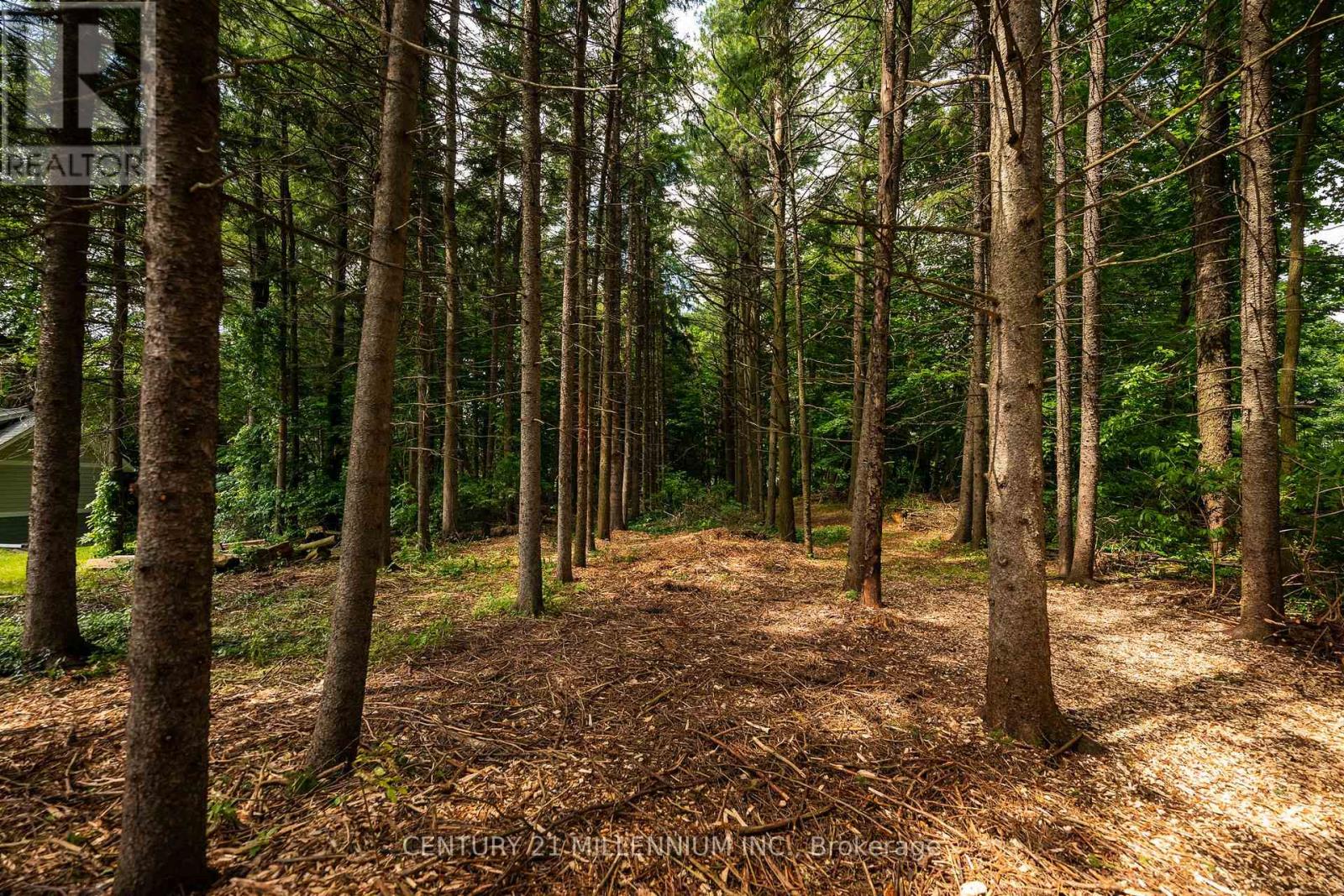 24 Buena Vista Drive, Mono, Ontario  L9W 5K8 - Photo 14 - X13475170