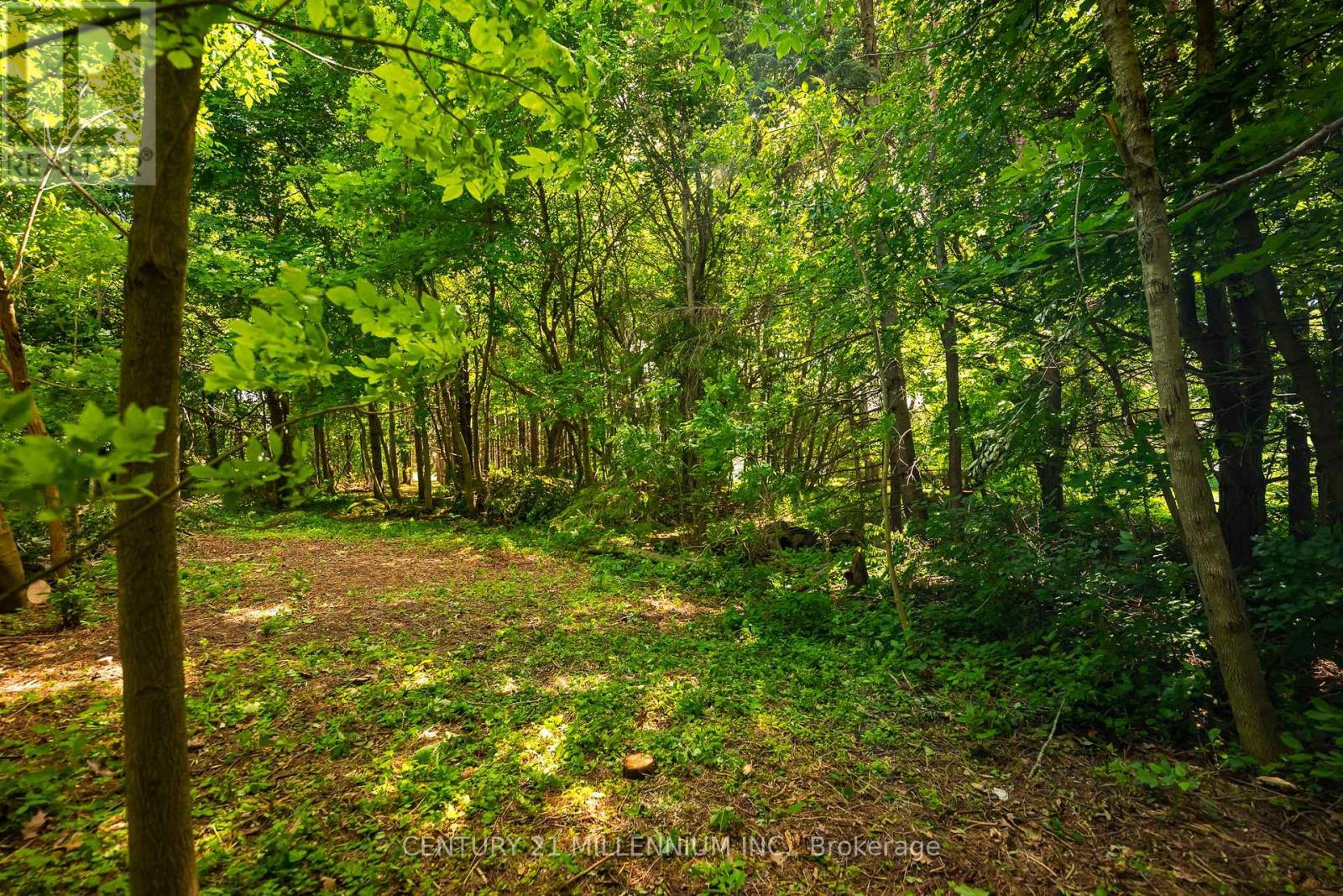 24 Buena Vista Drive, Mono, Ontario  L9W 5K8 - Photo 23 - X13475170