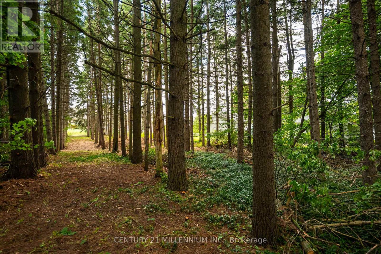 24 Buena Vista Drive, Mono, Ontario  L9W 5K8 - Photo 17 - X13475170