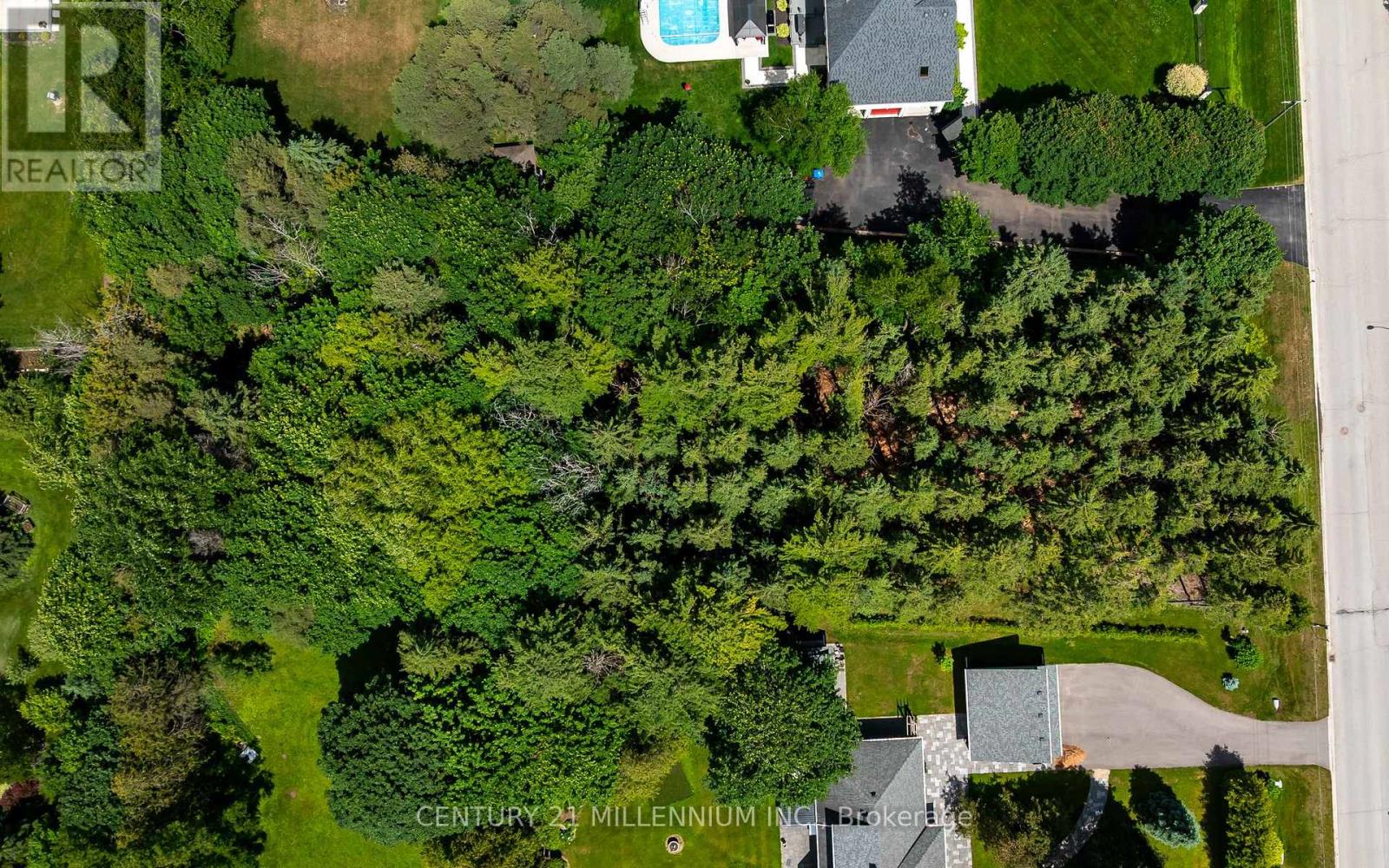 24 Buena Vista Drive, Mono, Ontario  L9W 5K8 - Photo 6 - X13475170