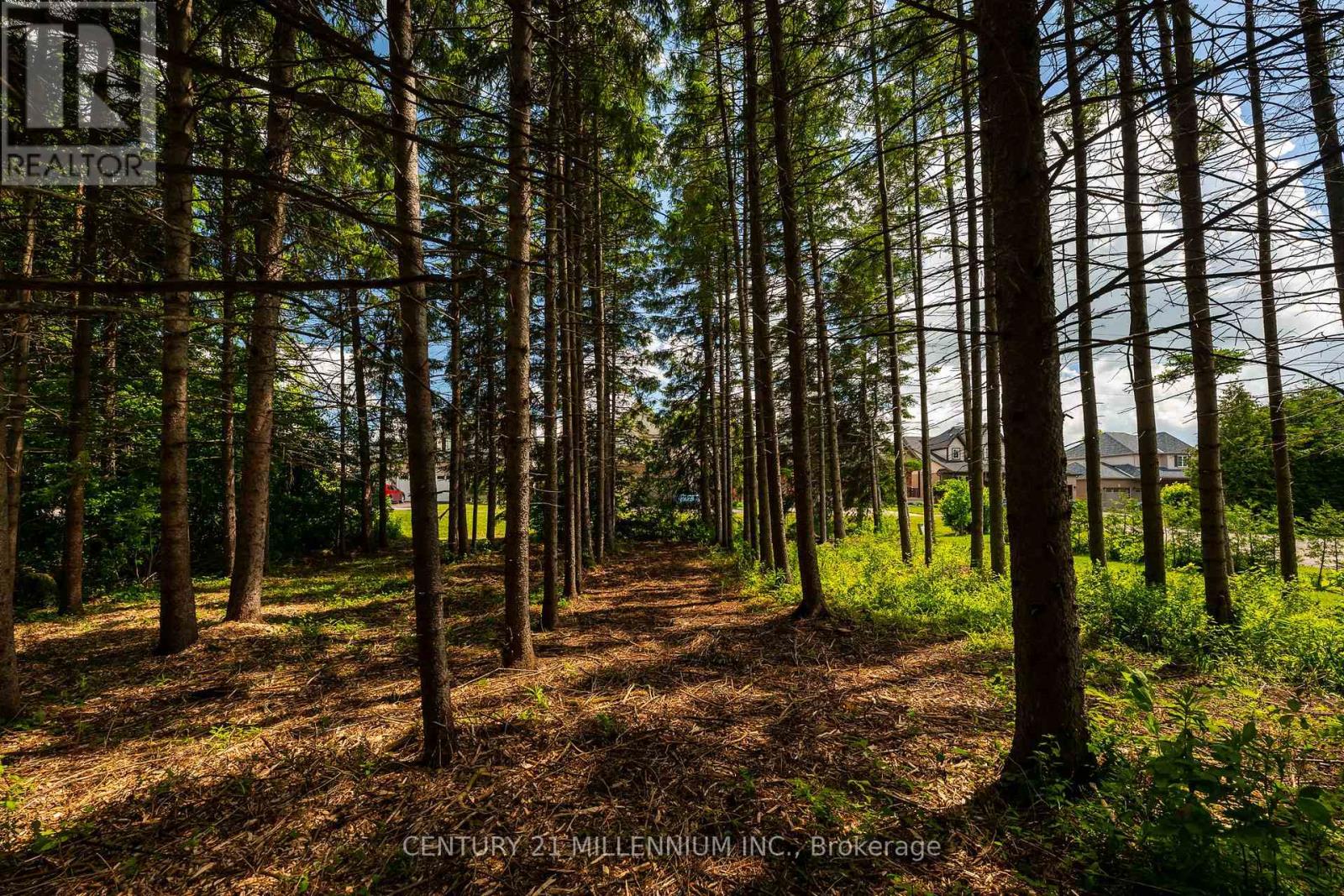 24 Buena Vista Drive, Mono, Ontario  L9W 5K8 - Photo 12 - X13475170