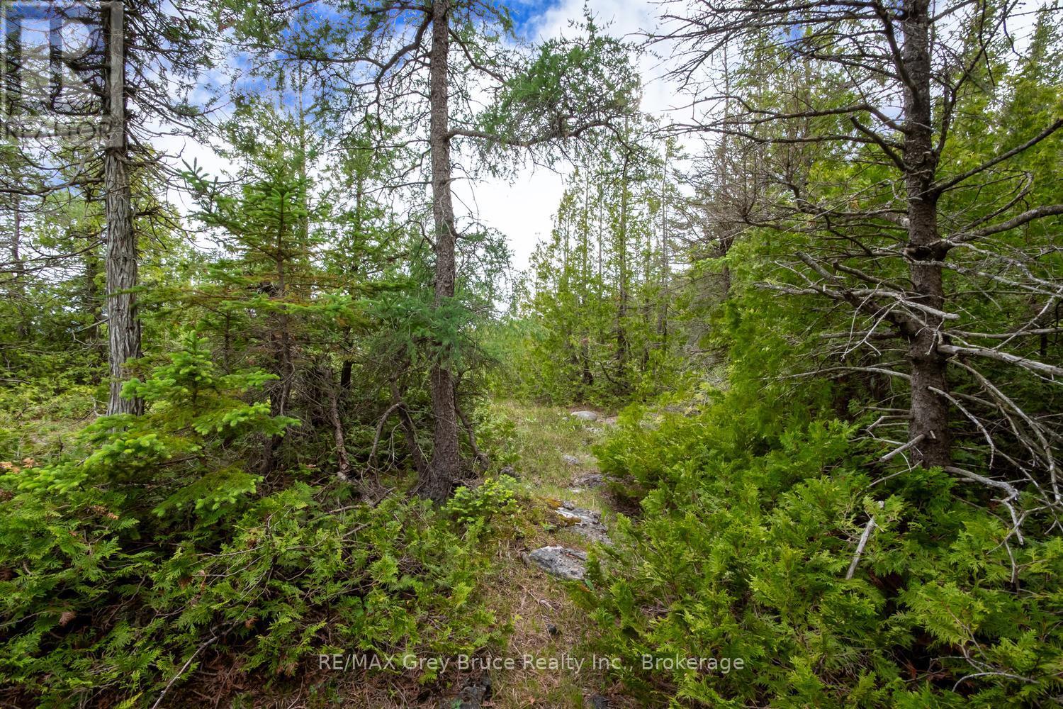 149 Robert Allen Drive, Northern Bruce Peninsula, Ontario  N0H 2R0 - Photo 25 - X13474976