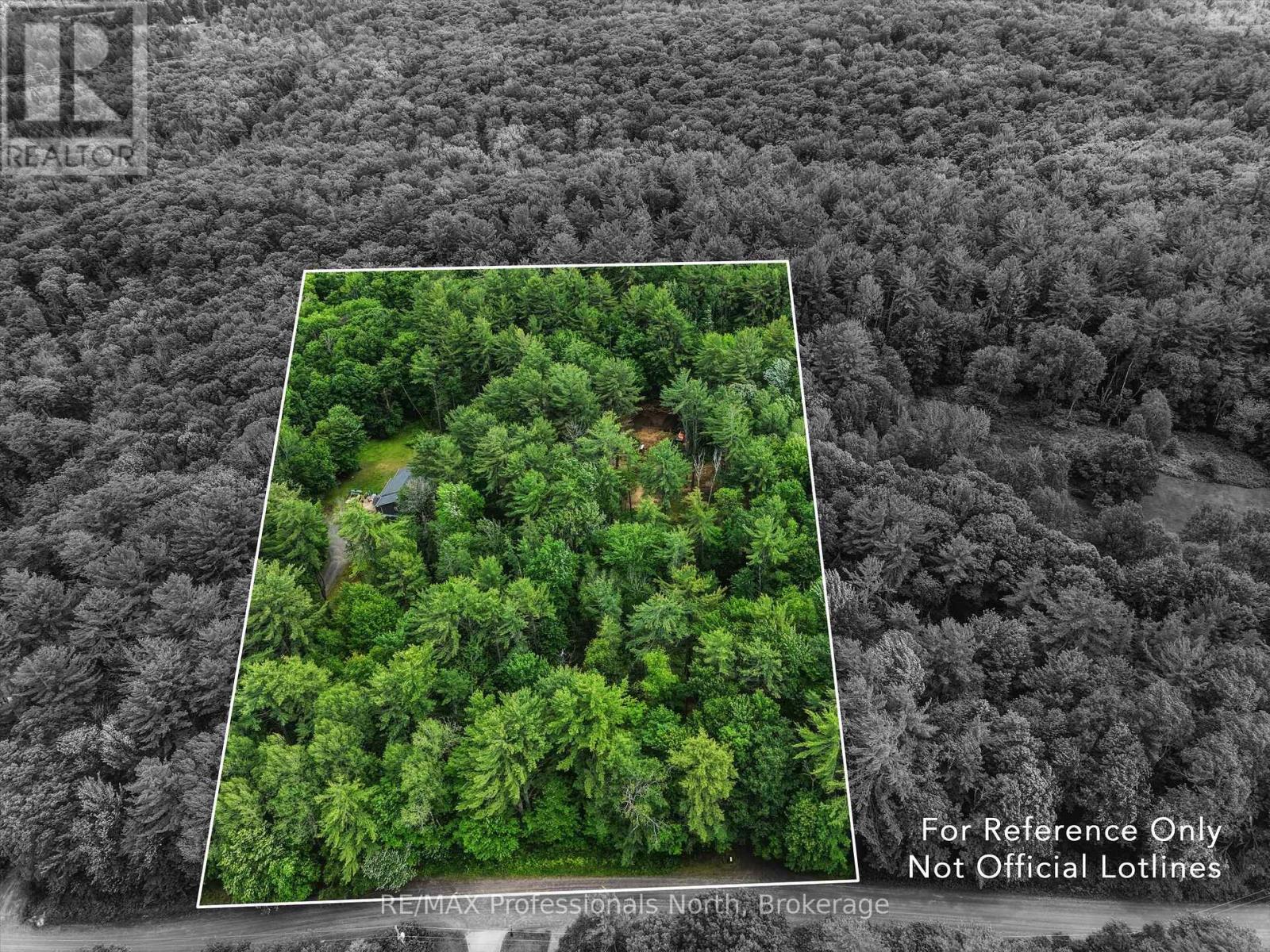 81 Watson Lane, Huntsville (Stephenson), Ontario  P0B 1M0 - Photo 2 - X13480268