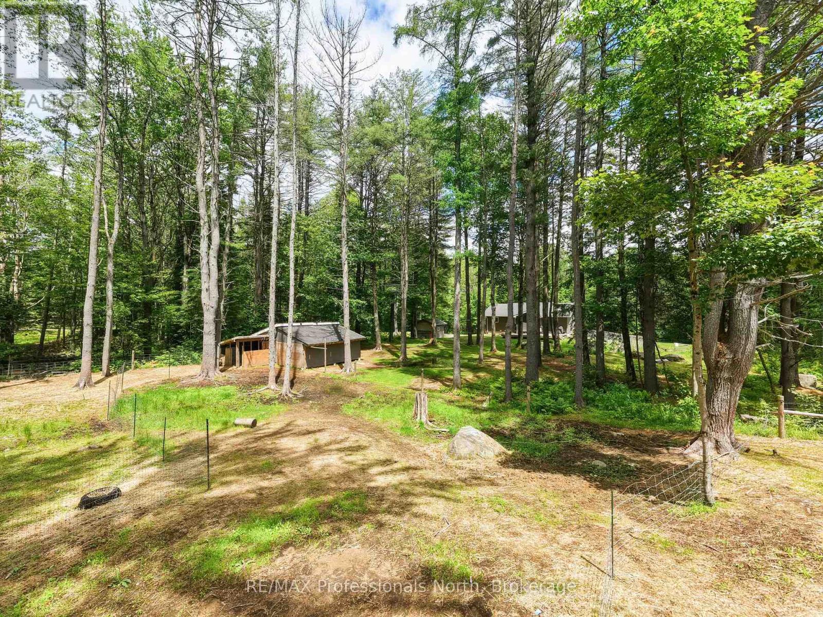 81 Watson Lane, Huntsville (Stephenson), Ontario  P0B 1M0 - Photo 34 - X13480268