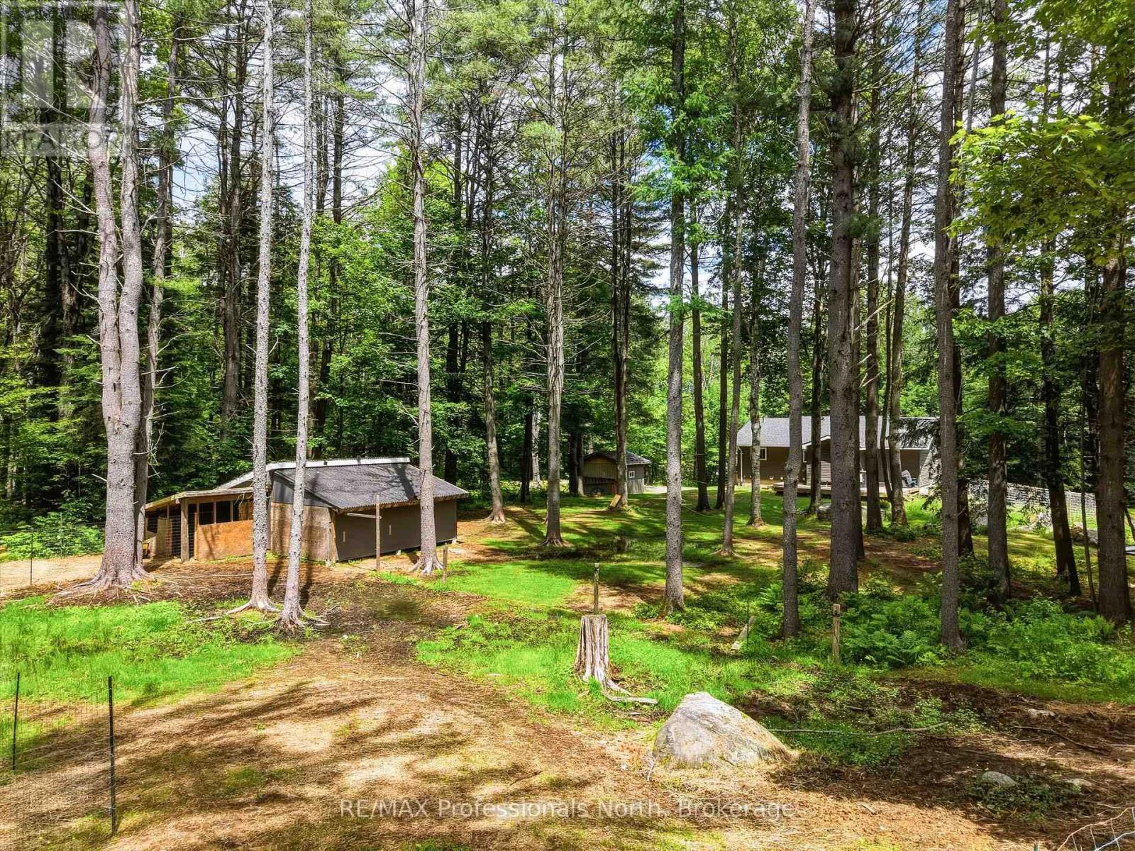 81 Watson Lane, Huntsville (Stephenson), Ontario  P0B 1M0 - Photo 38 - X13480268