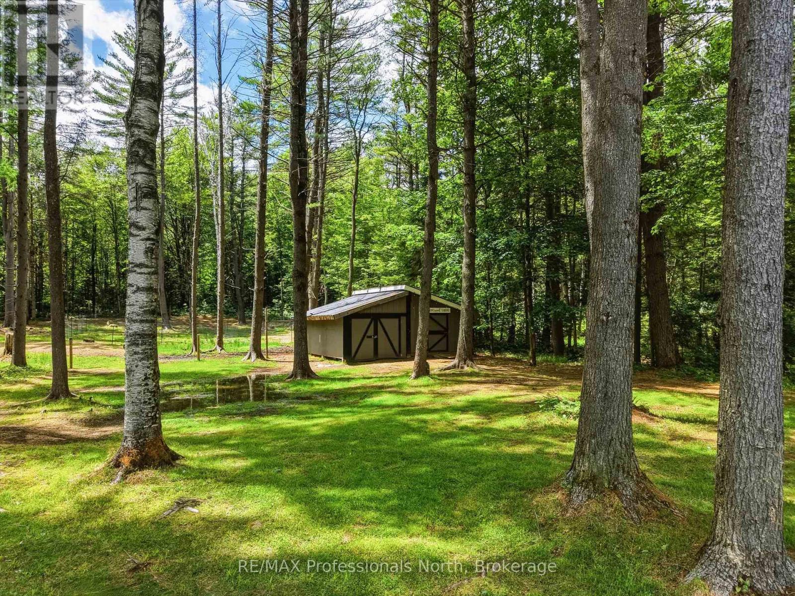 81 Watson Lane, Huntsville (Stephenson), Ontario  P0B 1M0 - Photo 39 - X13480268