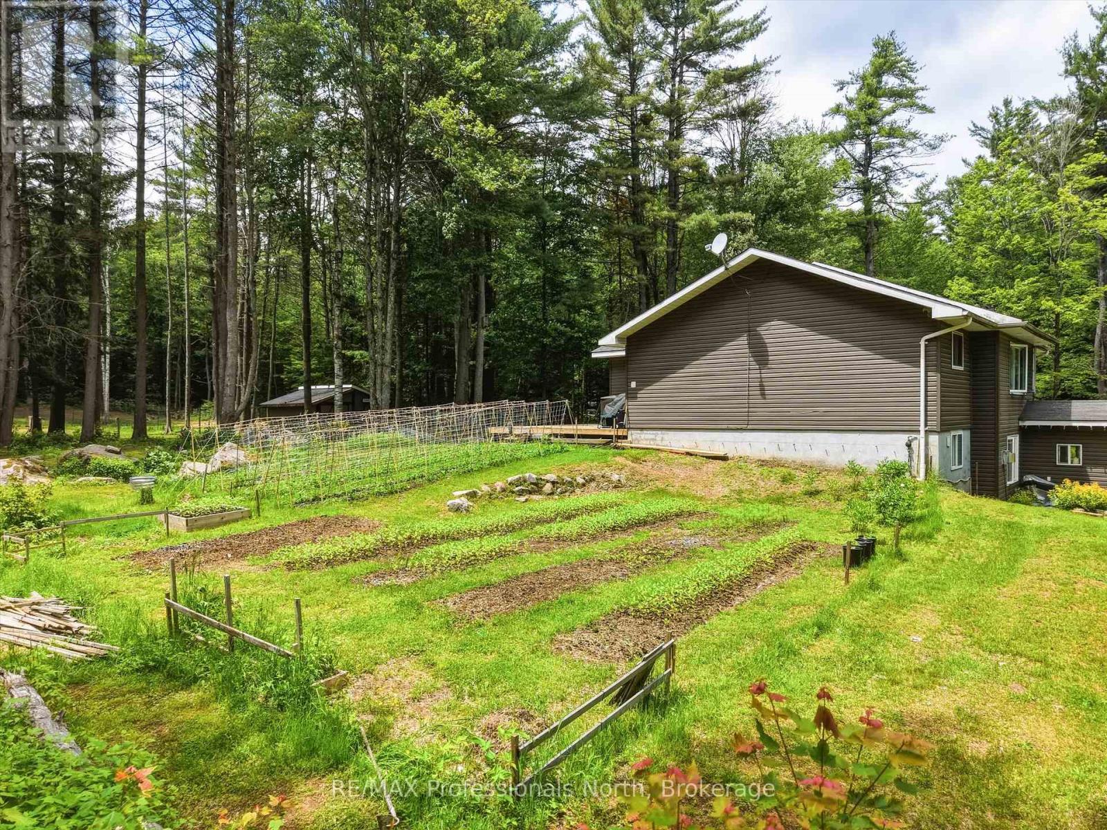 81 Watson Lane, Huntsville (Stephenson), Ontario  P0B 1M0 - Photo 44 - X13480268