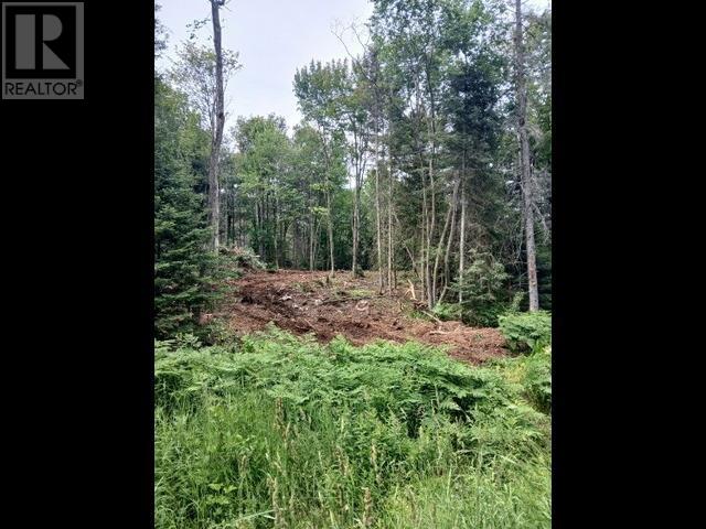 10940 Braniff Rd, Bruce Mines, Ontario P0S 1C0 - Photo 4 - SM261568