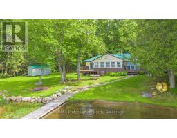 339 SUNNYLEA AVENUE, Armour, Ontario