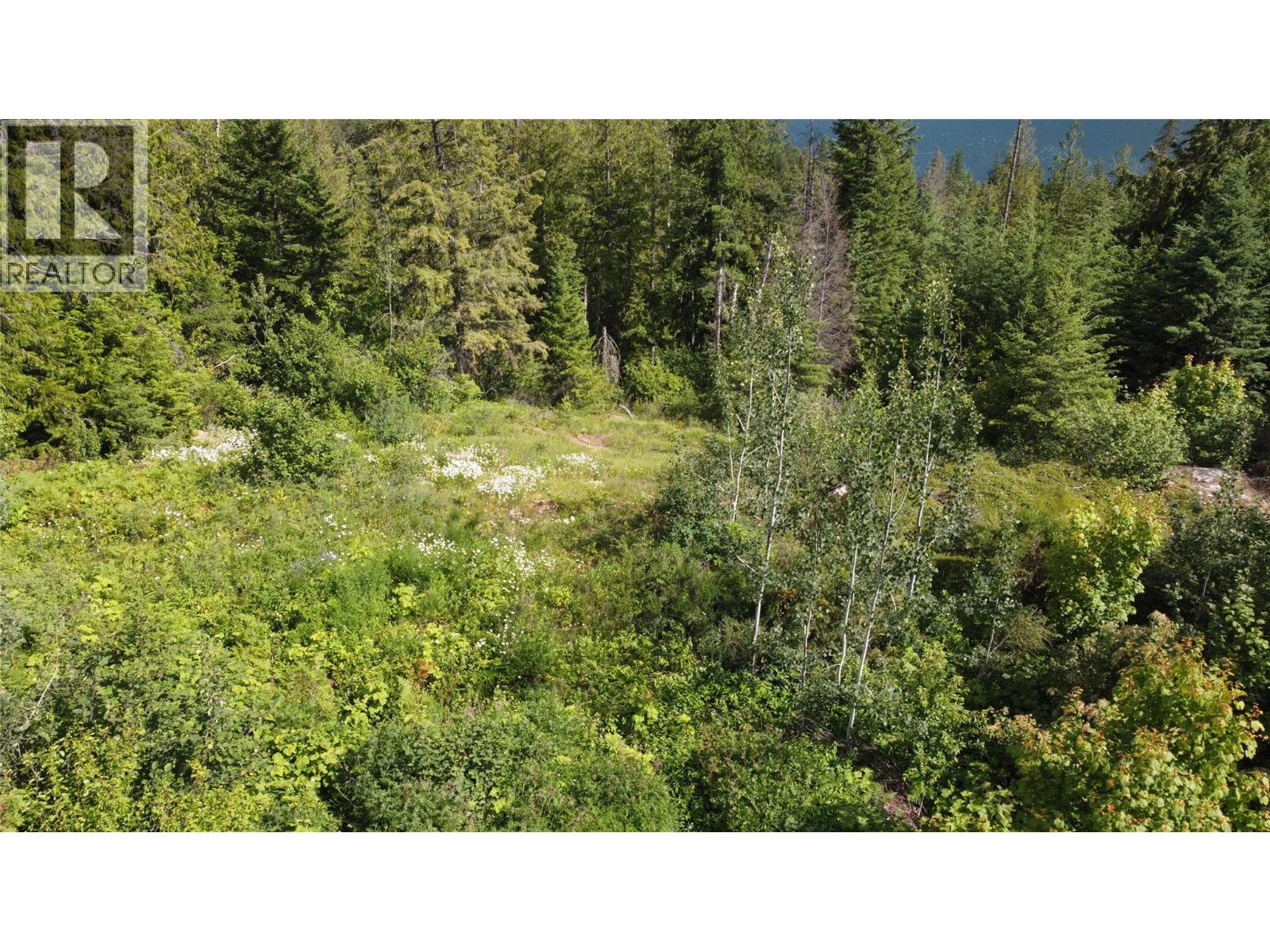 6820 Grandview Drive, Nelson, British Columbia V1L 5P3 - Photo 6 - 10392454