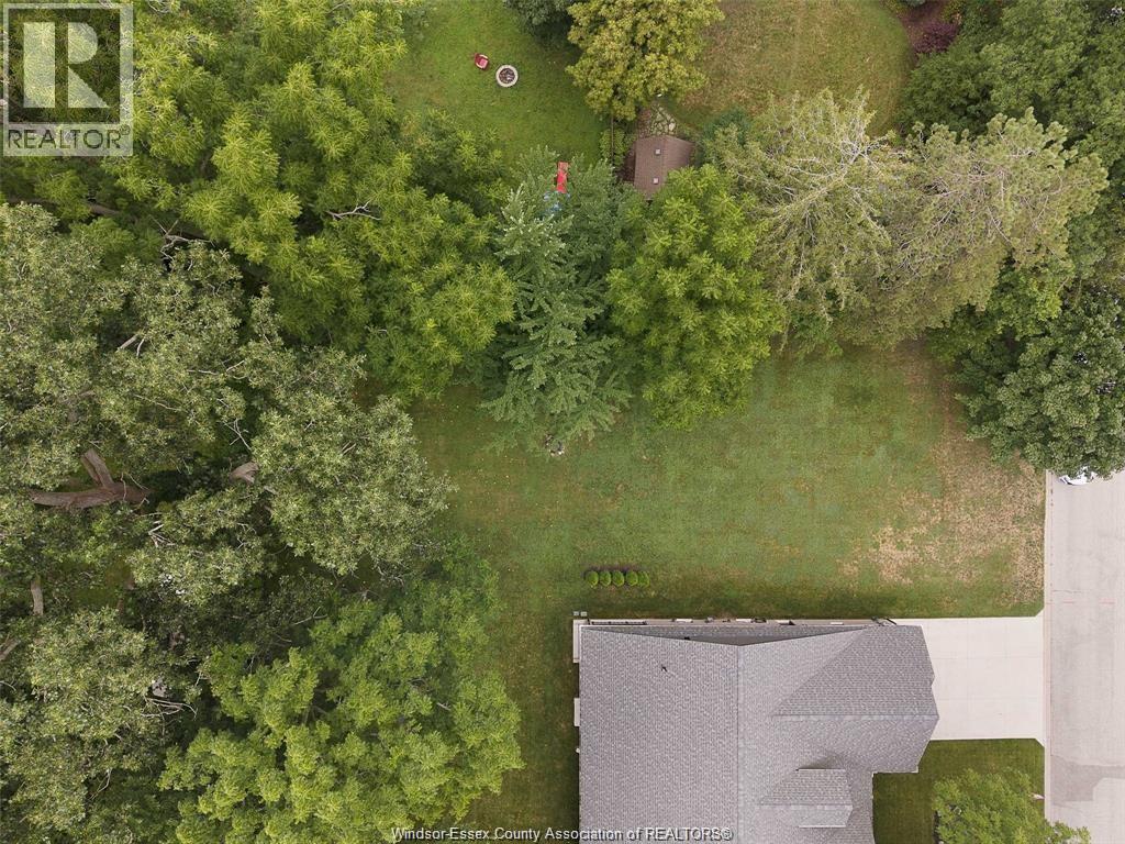 110 Laurel Street, Kingsville, Ontario  N9Y 2B4 - Photo 5 - 26014981