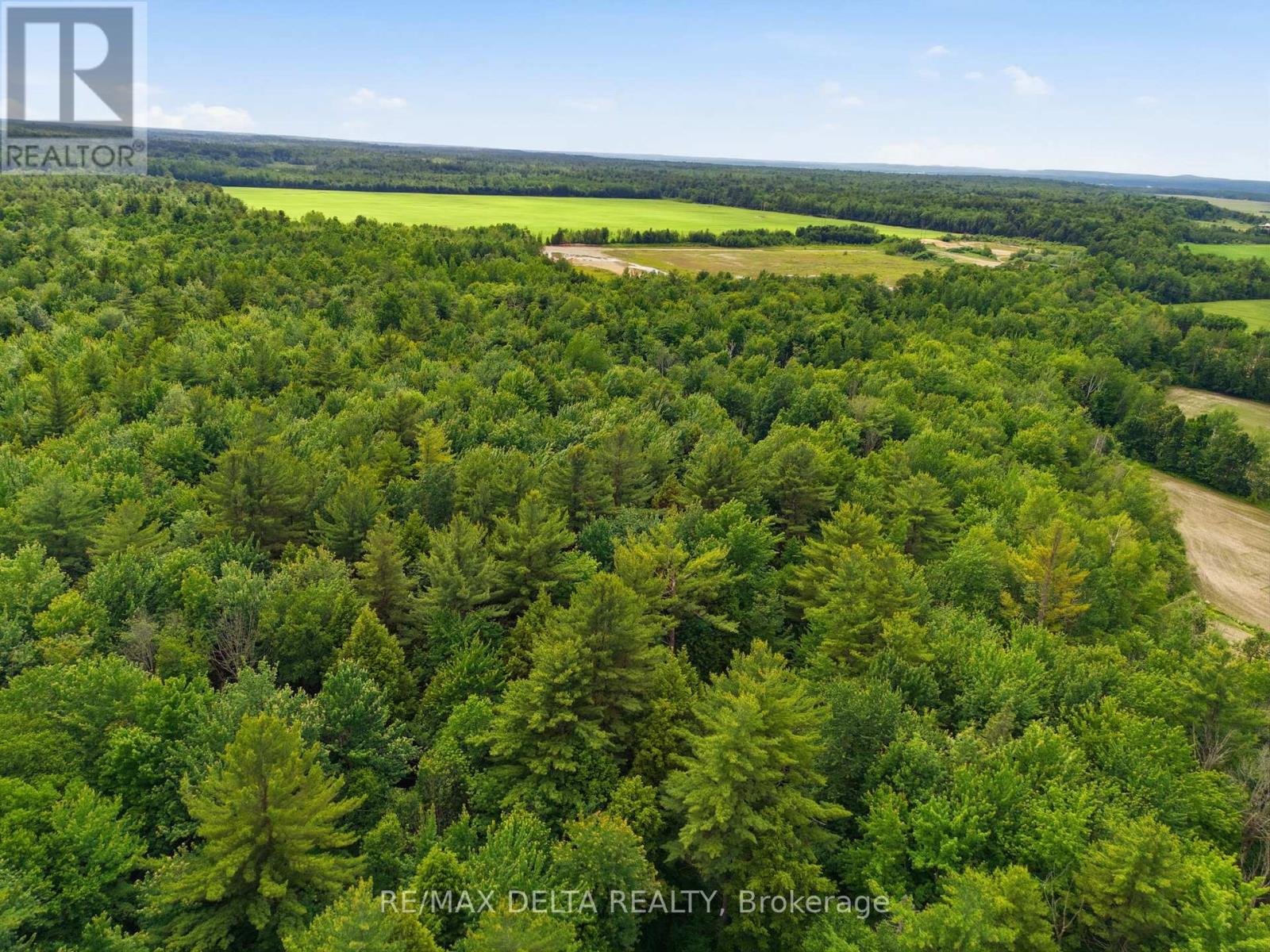 Pt Lt 5 Con 5 Part 2,3,5,6 Road, Alfred And Plantagenet, Ontario  K0B 1A0 - Photo 9 - X13480932