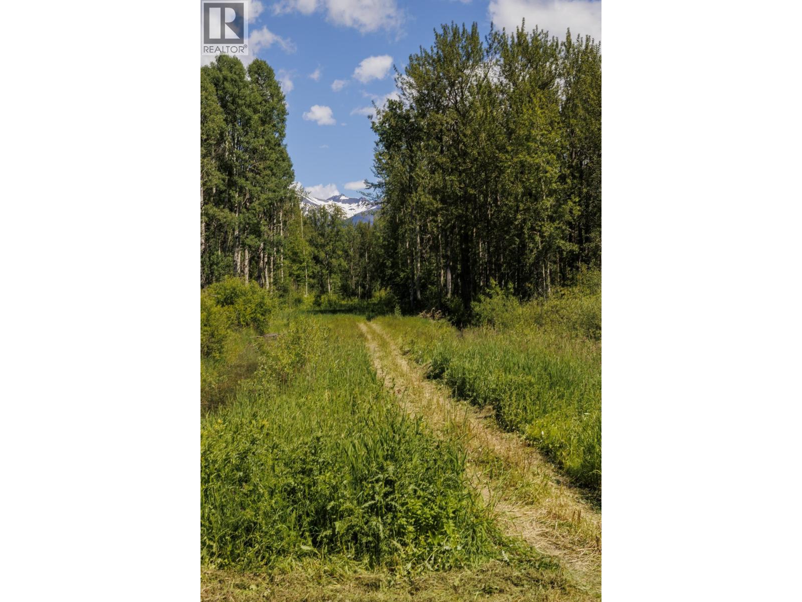 4600 Eddy Road, Mcbride, British Columbia  V0J 2E0 - Photo 25 - R3139082