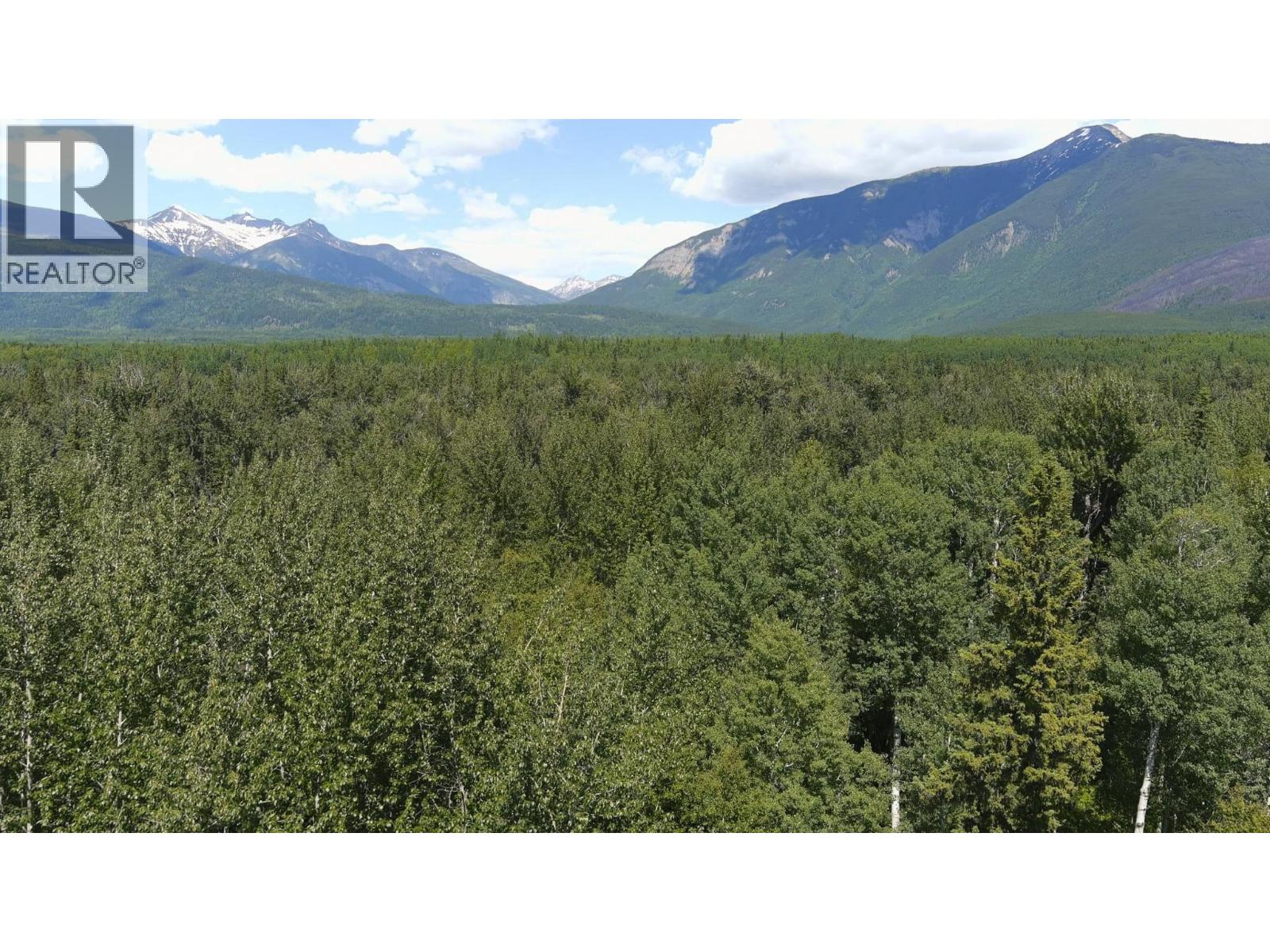 4600 Eddy Road, Mcbride, British Columbia  V0J 2E0 - Photo 39 - R3139082