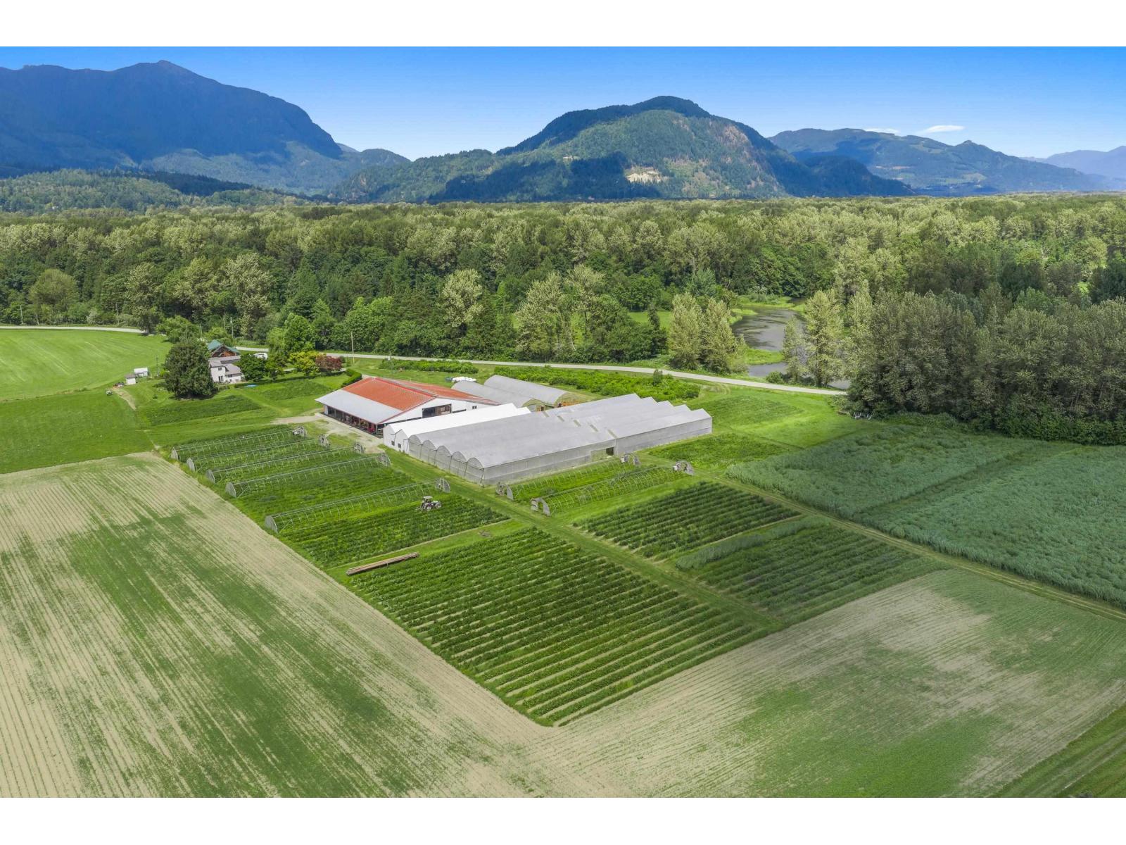 9974 Tremblay Road, Mission, British Columbia V0M 1G0 - Photo 19 - R3131430