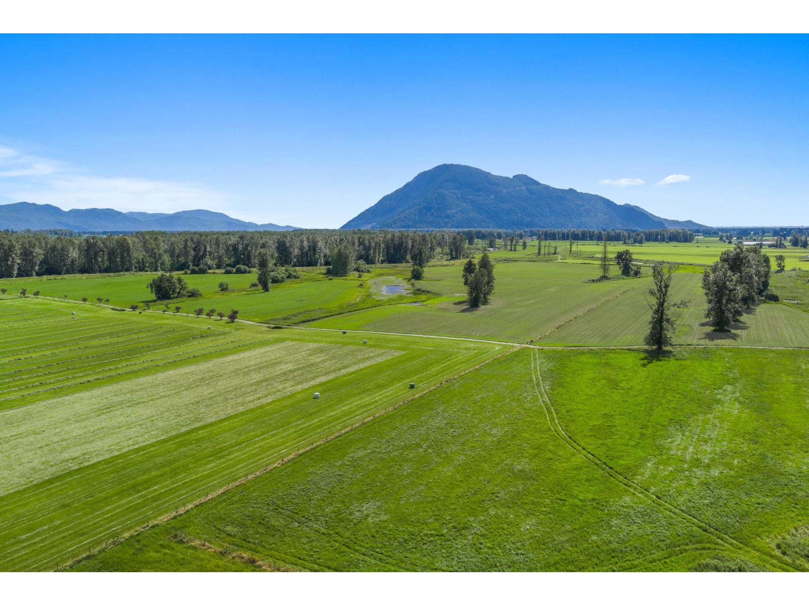 9974 Tremblay Road, Mission, British Columbia V0M 1G0 - Photo 31 - R3131430