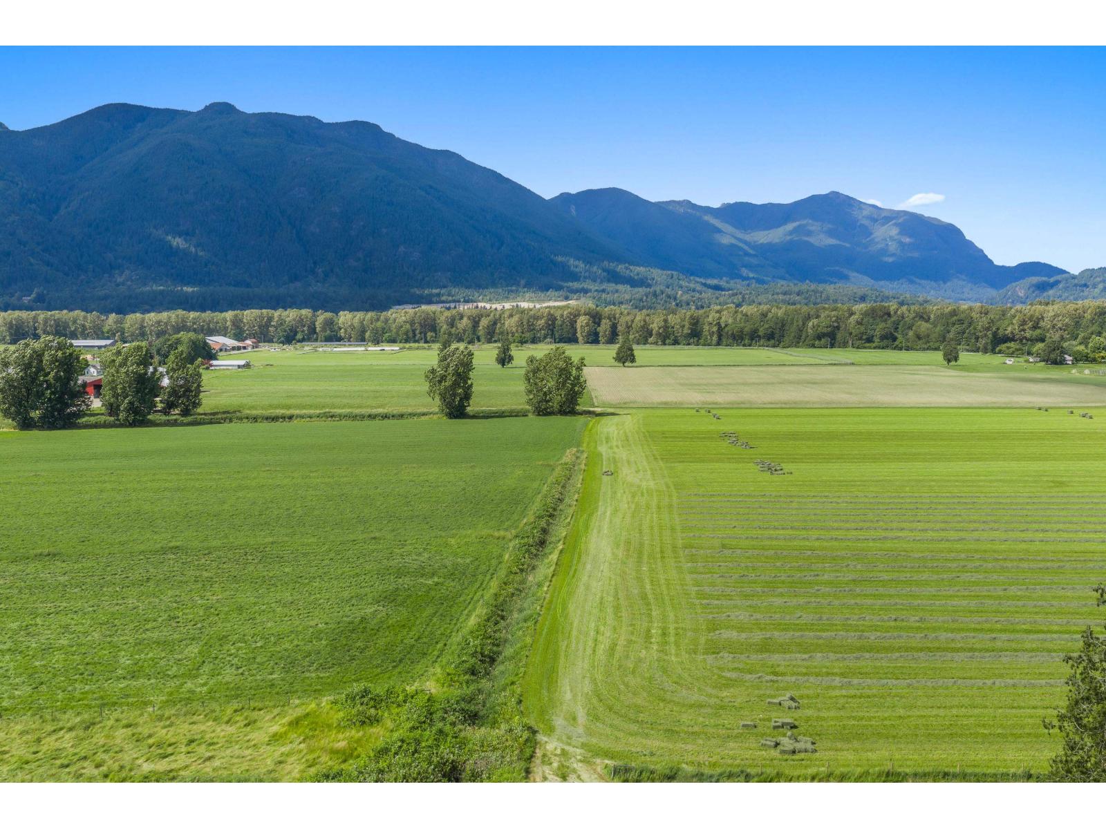 9974 Tremblay Road, Mission, British Columbia  V0M 1G0 - Photo 31 - C8079342