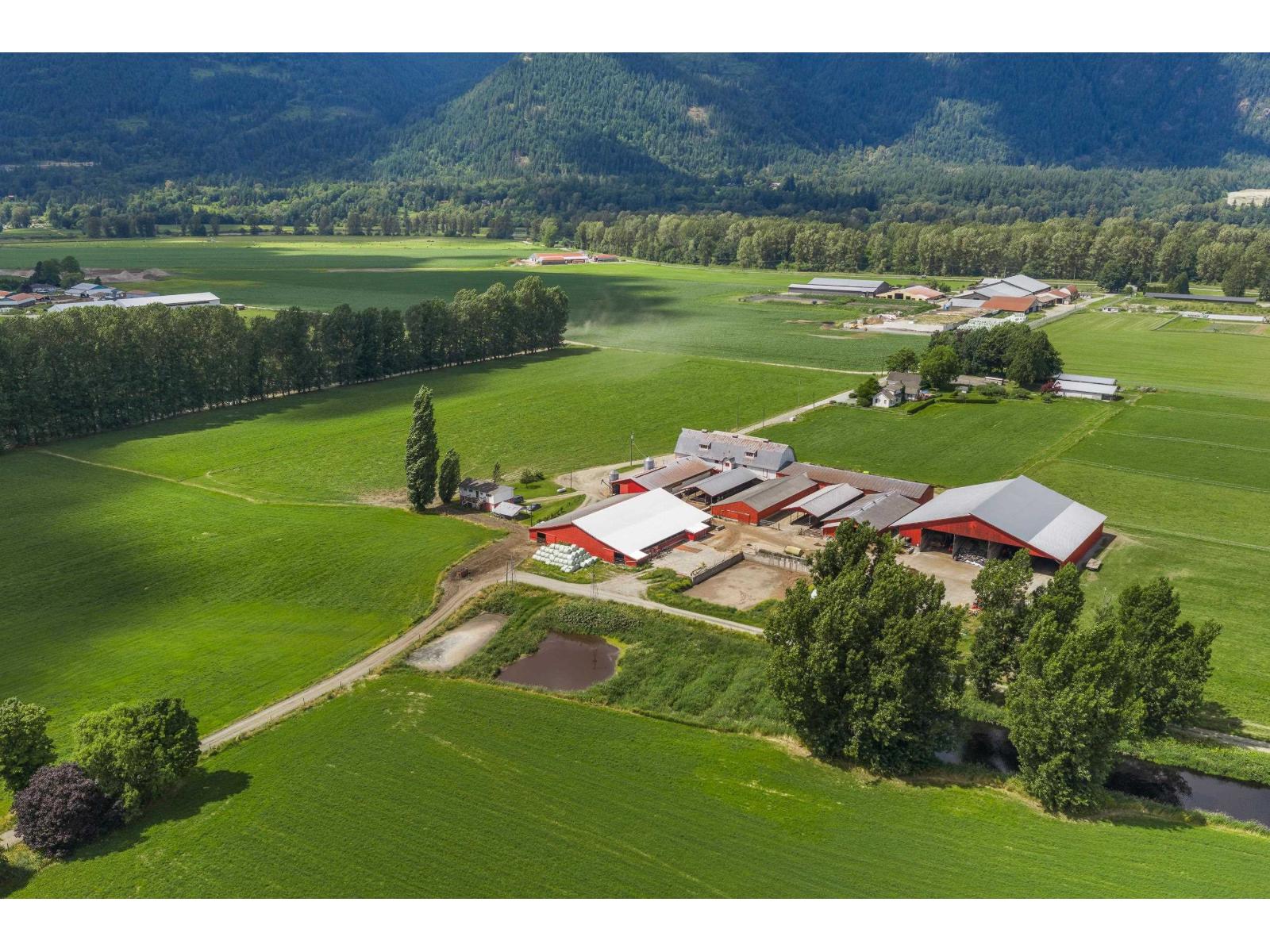 9974 Tremblay Road, Mission, British Columbia  V0M 1G0 - Photo 11 - C8079342