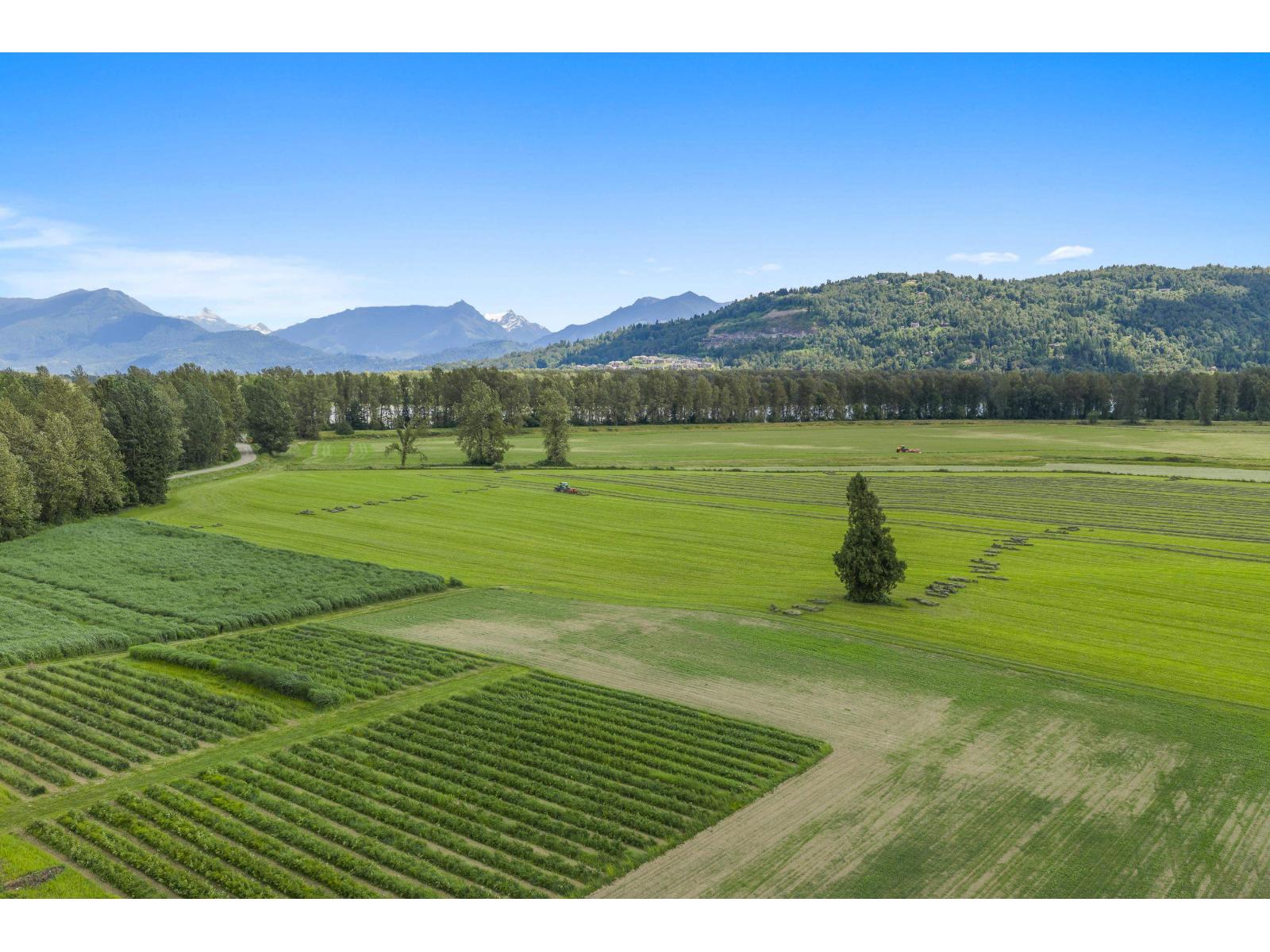 9974 Tremblay Road, Mission, British Columbia  V0M 1G0 - Photo 23 - C8079342