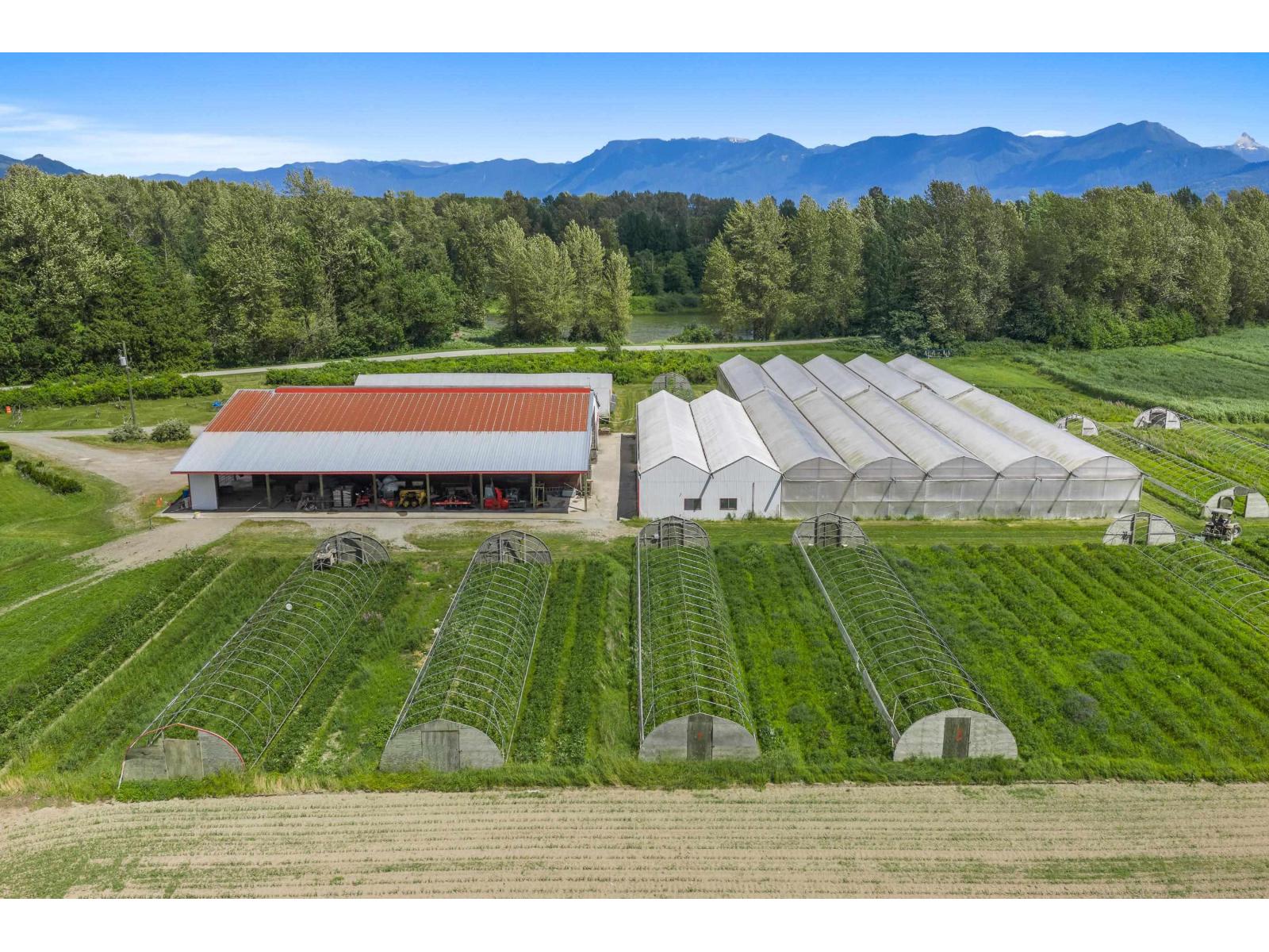 9974 Tremblay Road, Mission, British Columbia  V0M 1G0 - Photo 19 - C8079342