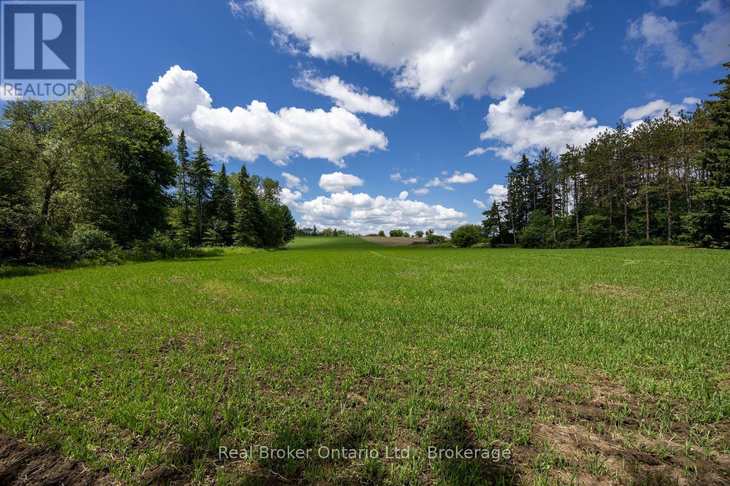 4206 Middle Road, Clarington, Ontario  L1C 3K2 - Photo 10 - E13481266