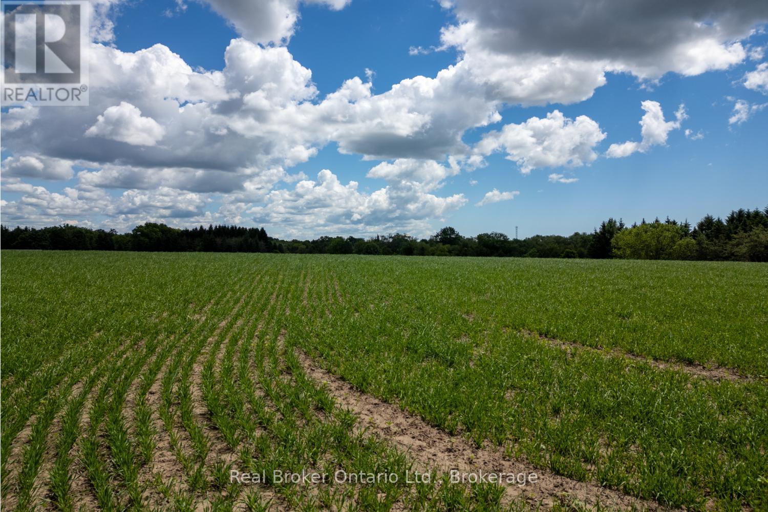 4206 Middle Road, Clarington, Ontario  L1C 3K2 - Photo 16 - E13481266