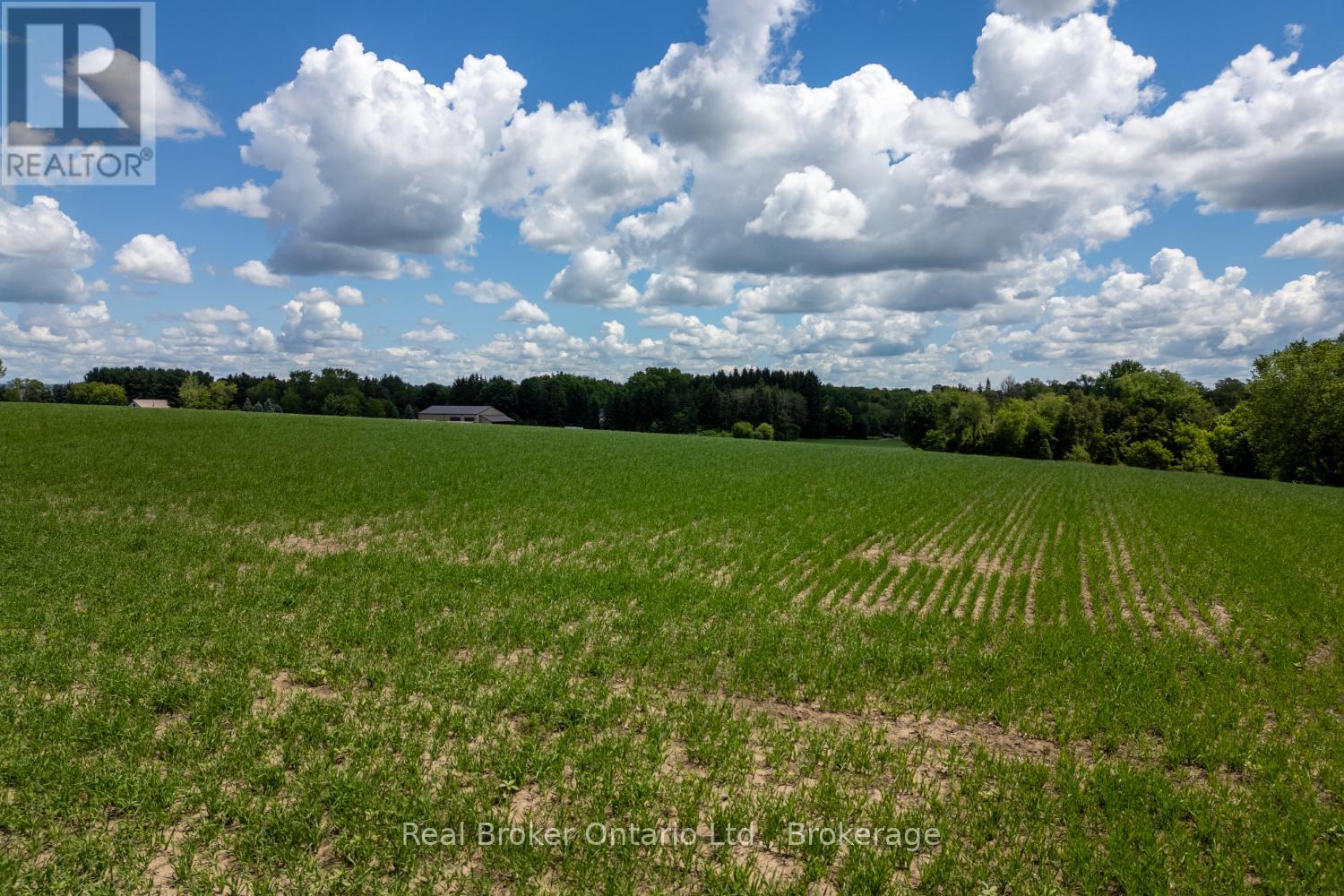 4206 Middle Road, Clarington, Ontario  L1C 3K2 - Photo 17 - E13481266