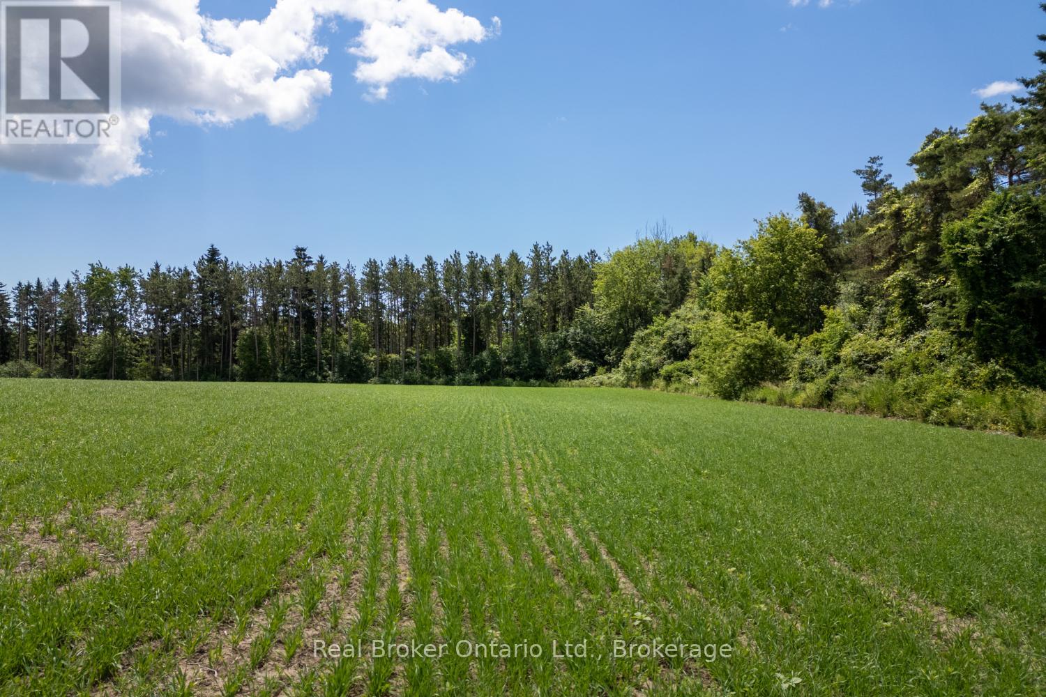 4206 Middle Road, Clarington, Ontario  L1C 3K2 - Photo 2 - E13481266