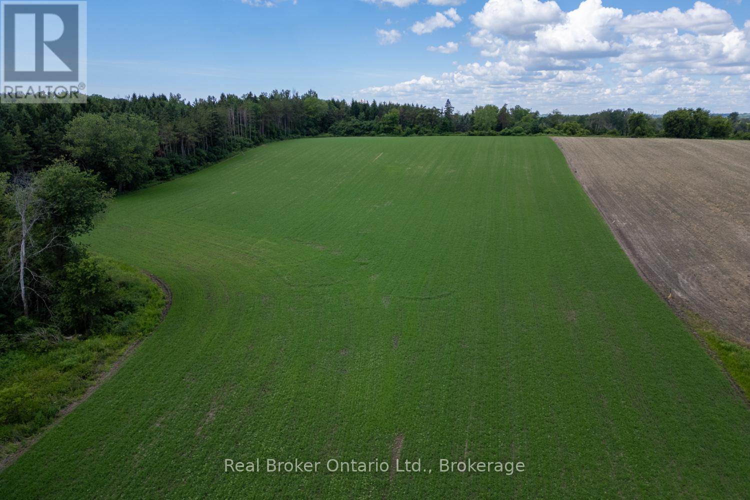 4206 Middle Road, Clarington, Ontario  L1C 3K2 - Photo 21 - E13481266