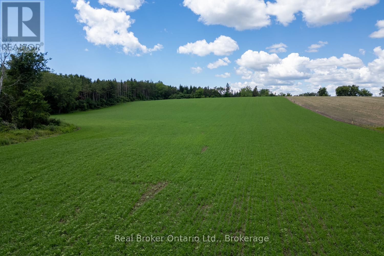 4206 Middle Road, Clarington, Ontario  L1C 3K2 - Photo 22 - E13481266