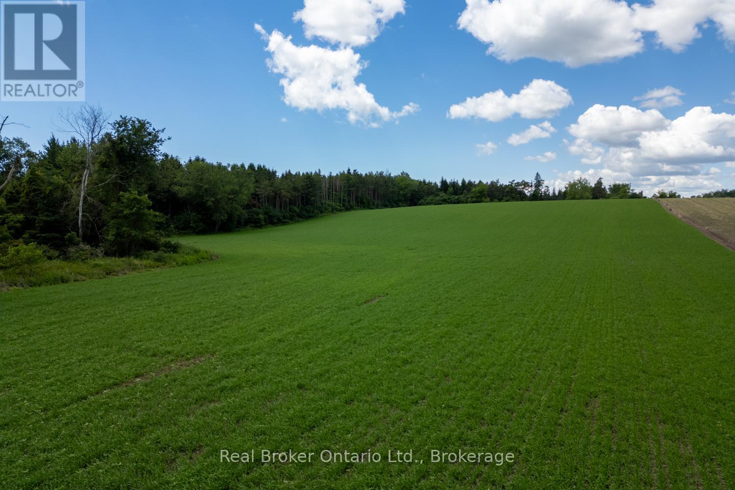 4206 Middle Road, Clarington, Ontario  L1C 3K2 - Photo 23 - E13481266