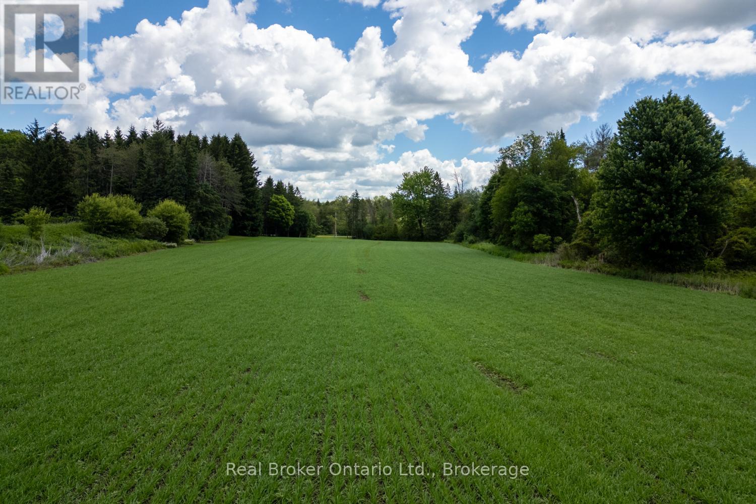 4206 Middle Road, Clarington, Ontario  L1C 3K2 - Photo 24 - E13481266