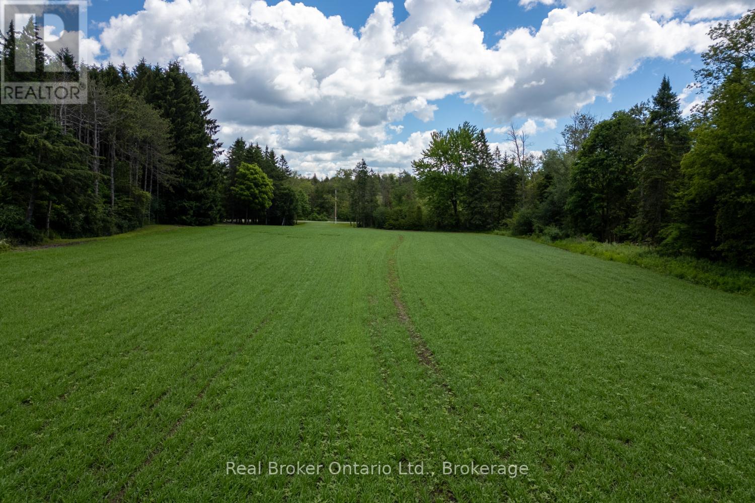 4206 Middle Road, Clarington, Ontario  L1C 3K2 - Photo 25 - E13481266