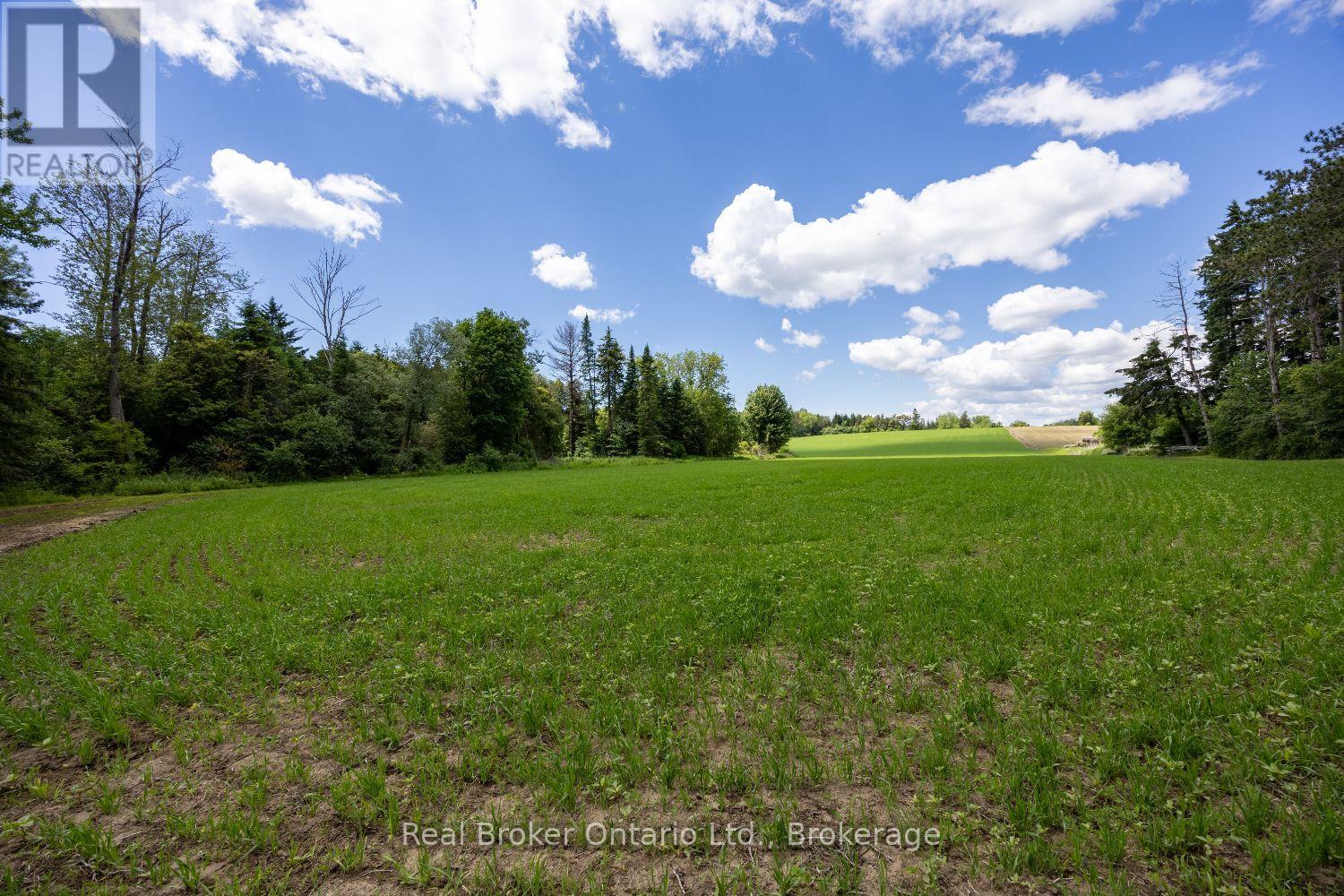4206 Middle Road, Clarington, Ontario  L1C 3K2 - Photo 7 - E13481266