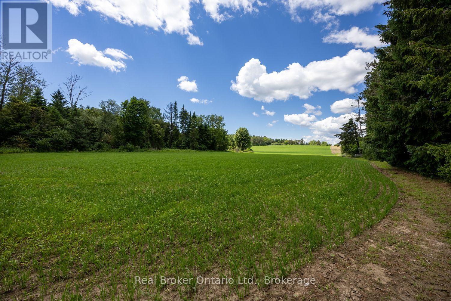 4206 Middle Road, Clarington, Ontario  L1C 3K2 - Photo 8 - E13481266