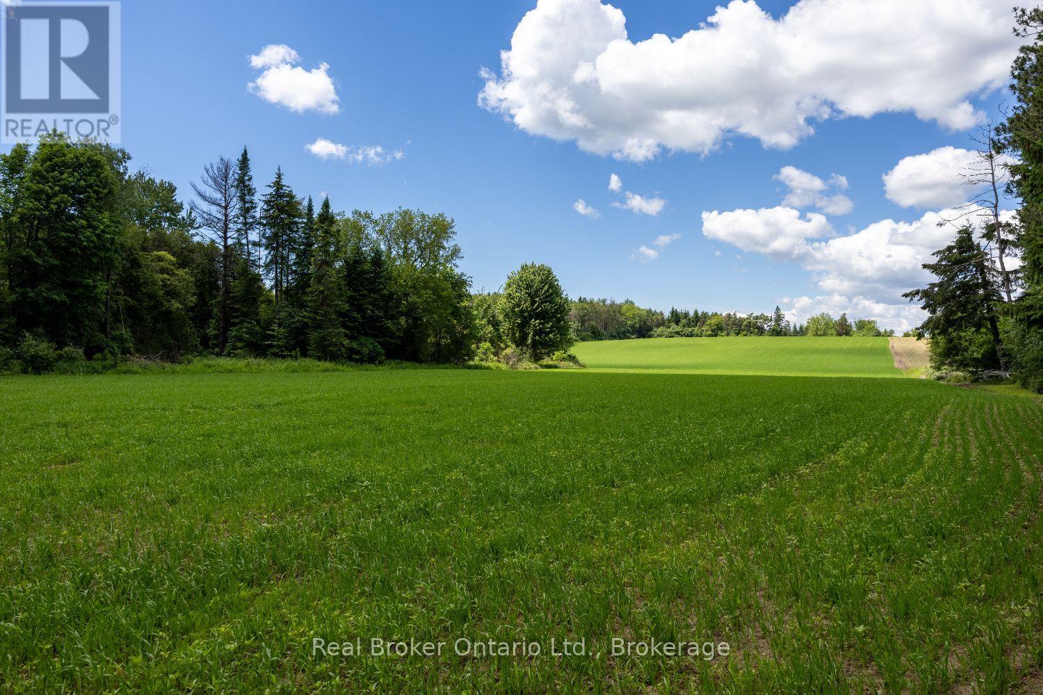 4206 Middle Road, Clarington, Ontario  L1C 3K2 - Photo 9 - E13481266