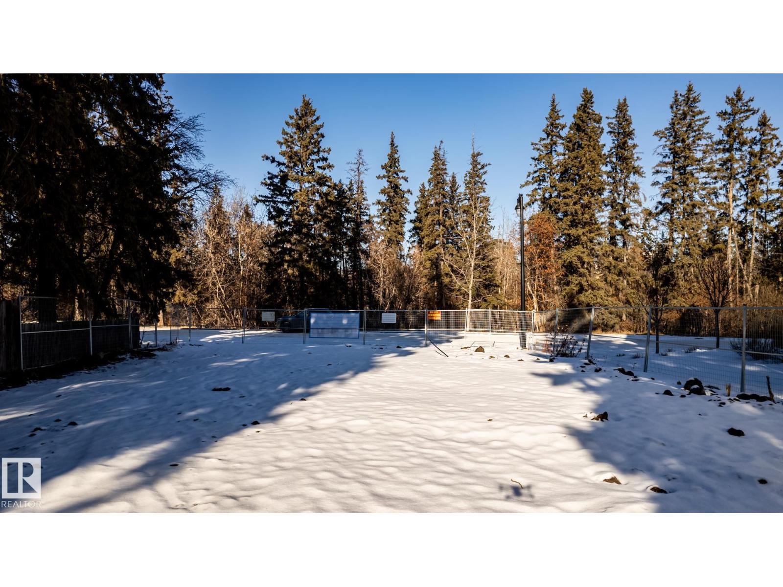 14307 Summit Dr NW, Edmonton, Alberta  T5N 3T1 - Photo 23 - E4495262