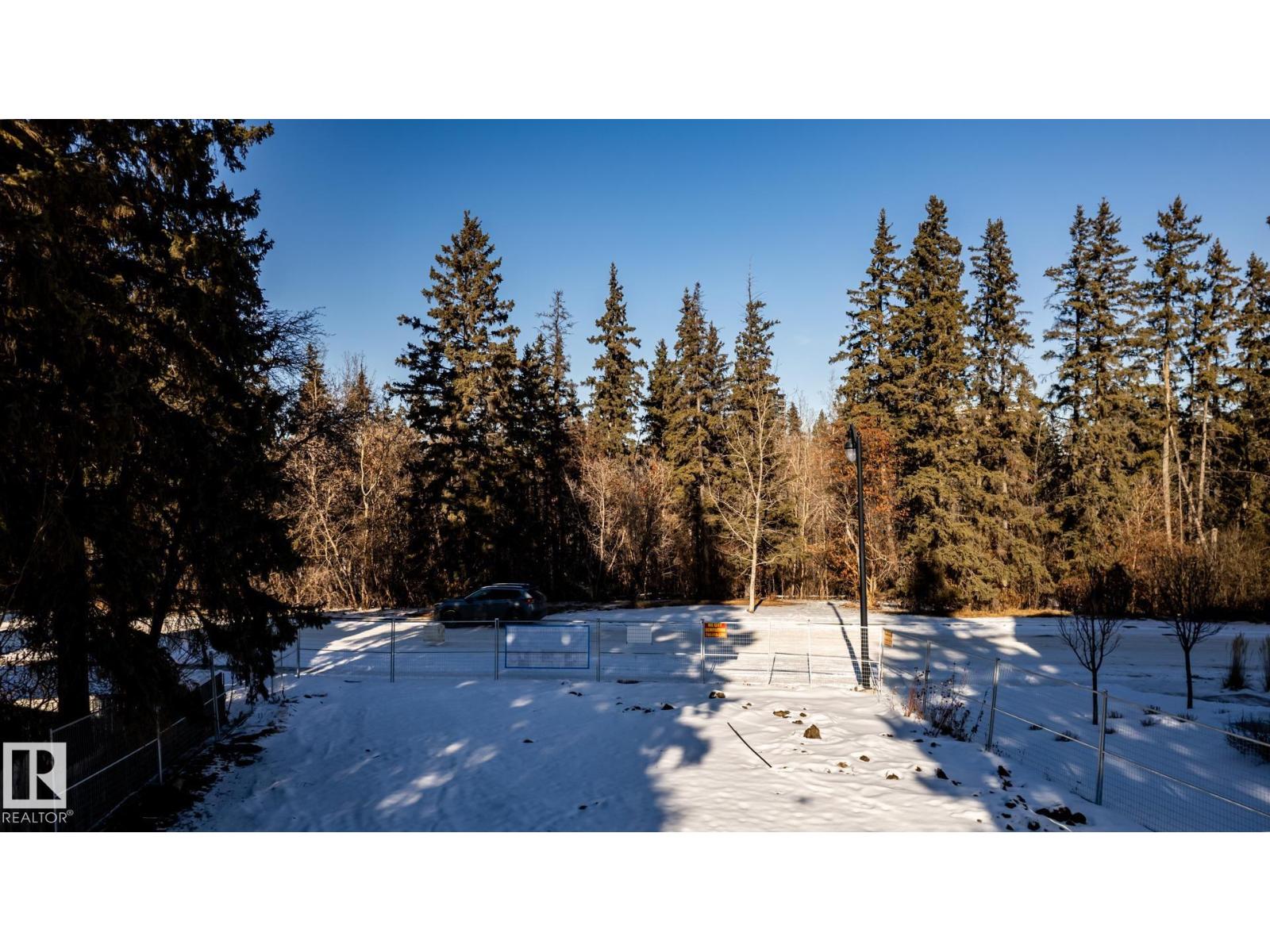 14307 Summit Dr NW, Edmonton, Alberta  T5N 3T1 - Photo 24 - E4495262