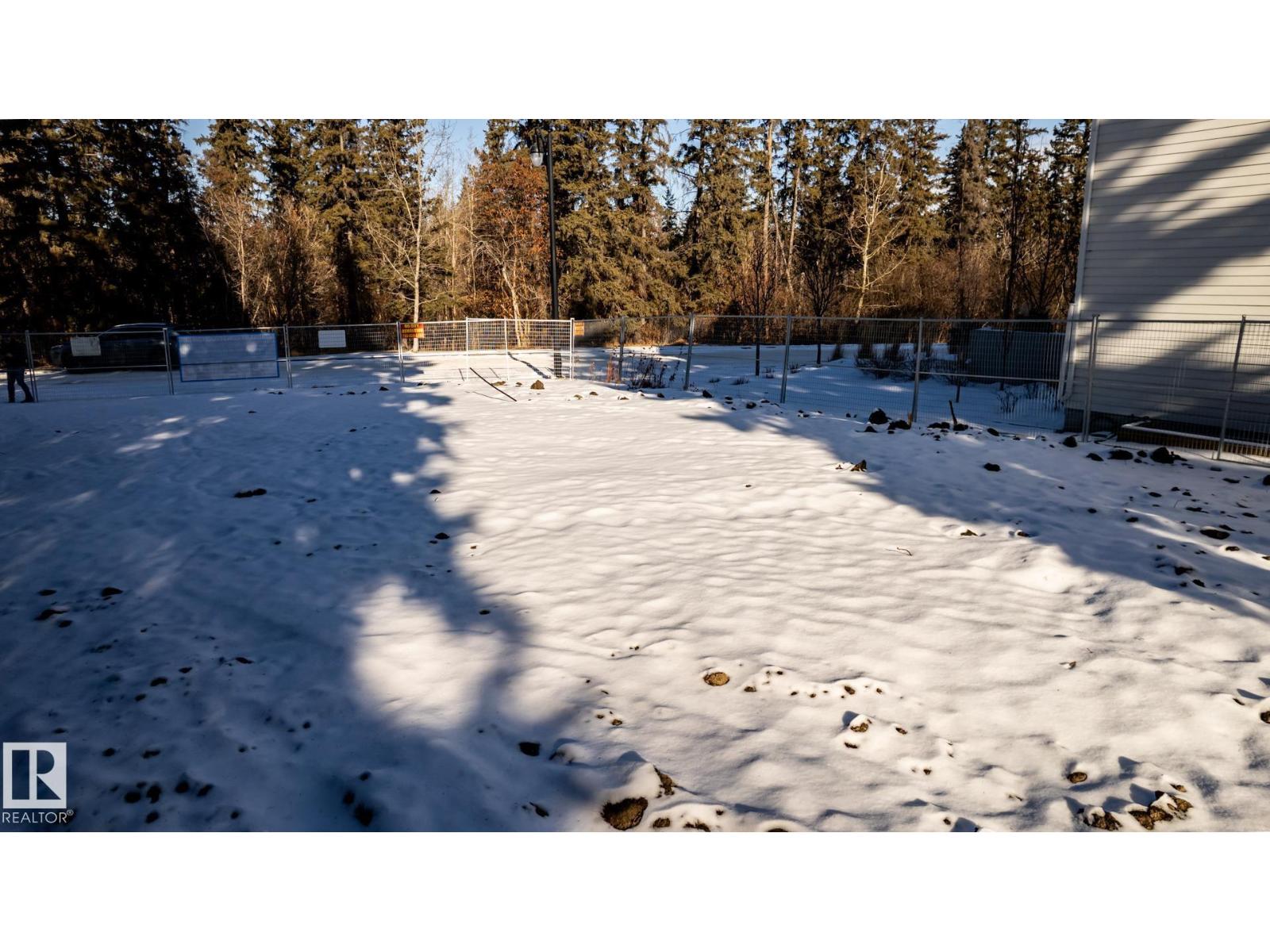 14307 Summit Dr NW, Edmonton, Alberta  T5N 3T1 - Photo 25 - E4495262