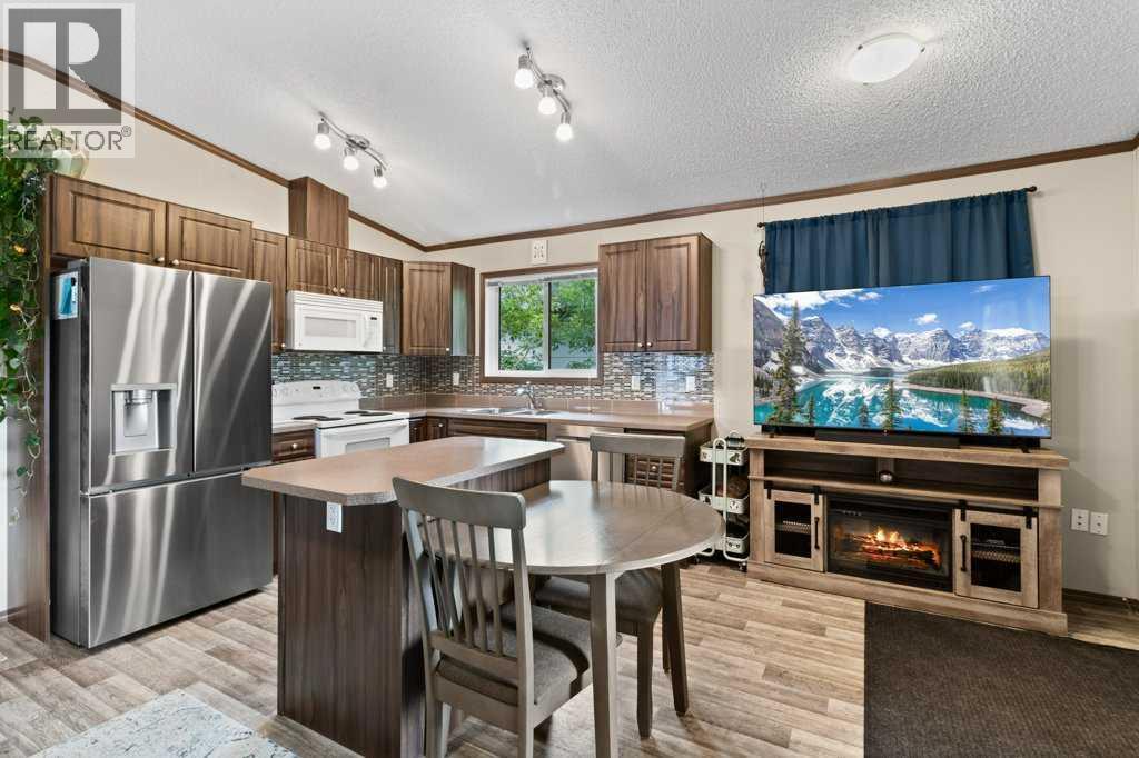 125 3rd Avenue South, Big Valley, Alberta  T0J 0G0 - Photo 6 - A2323462