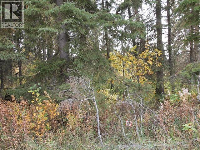 Lot 25 Bodnar Road, Brightsand Lake, Saskatchewan  S0M 0H0 - Photo 3 - A2322802