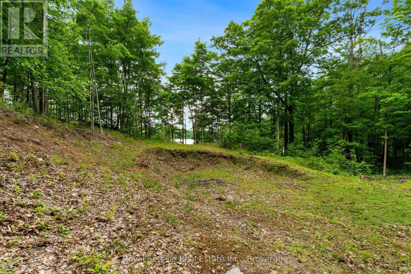 1314 Guigue Road, Frontenac, Ontario  K0H 2P0 - Photo 6 - X13481678