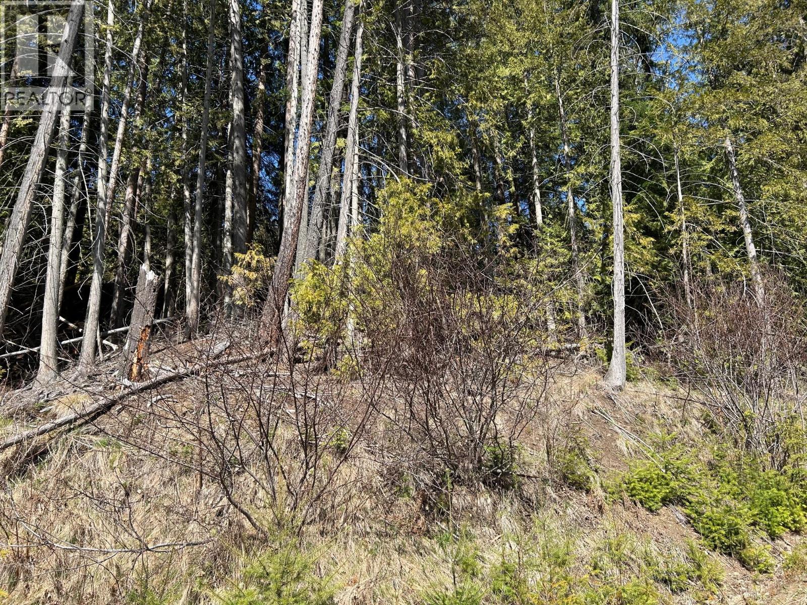 7416 3a Highway, Balfour, British Columbia  V1L 7E9 - Photo 20 - 10342217