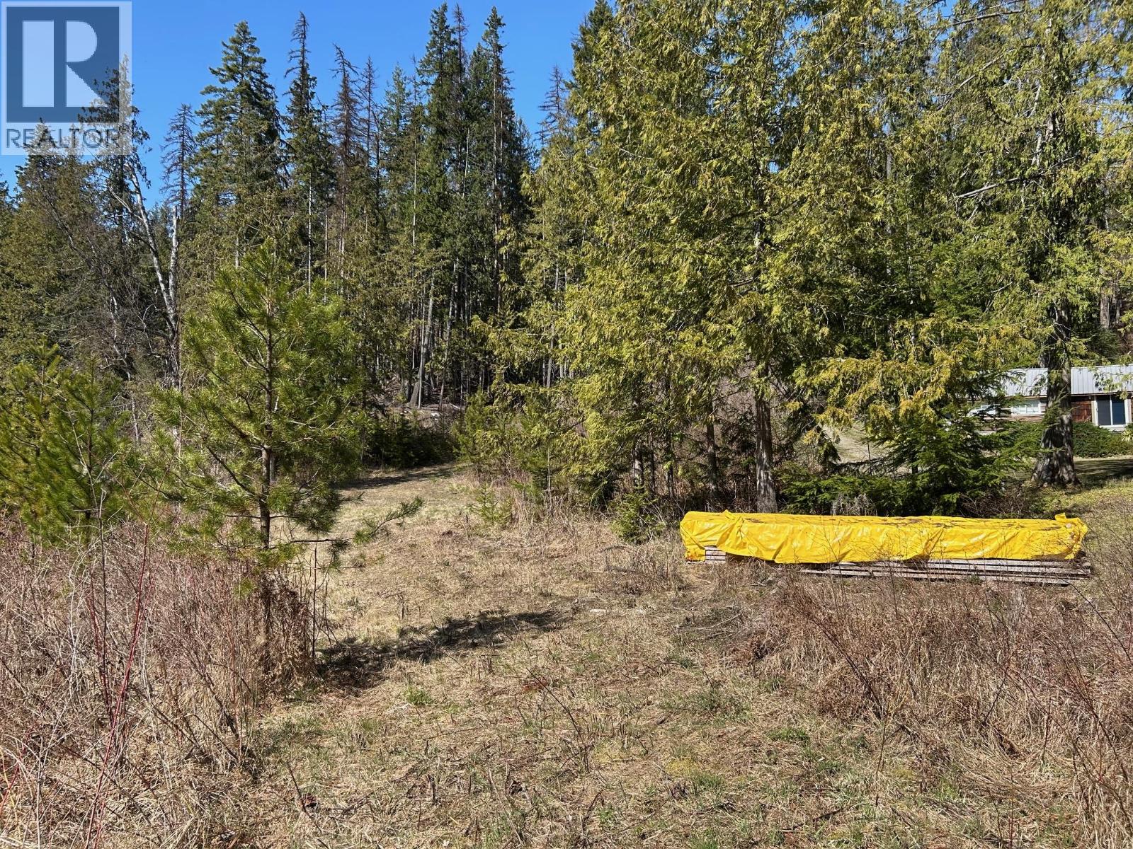 7416 3a Highway, Balfour, British Columbia  V1L 7E9 - Photo 24 - 10342217