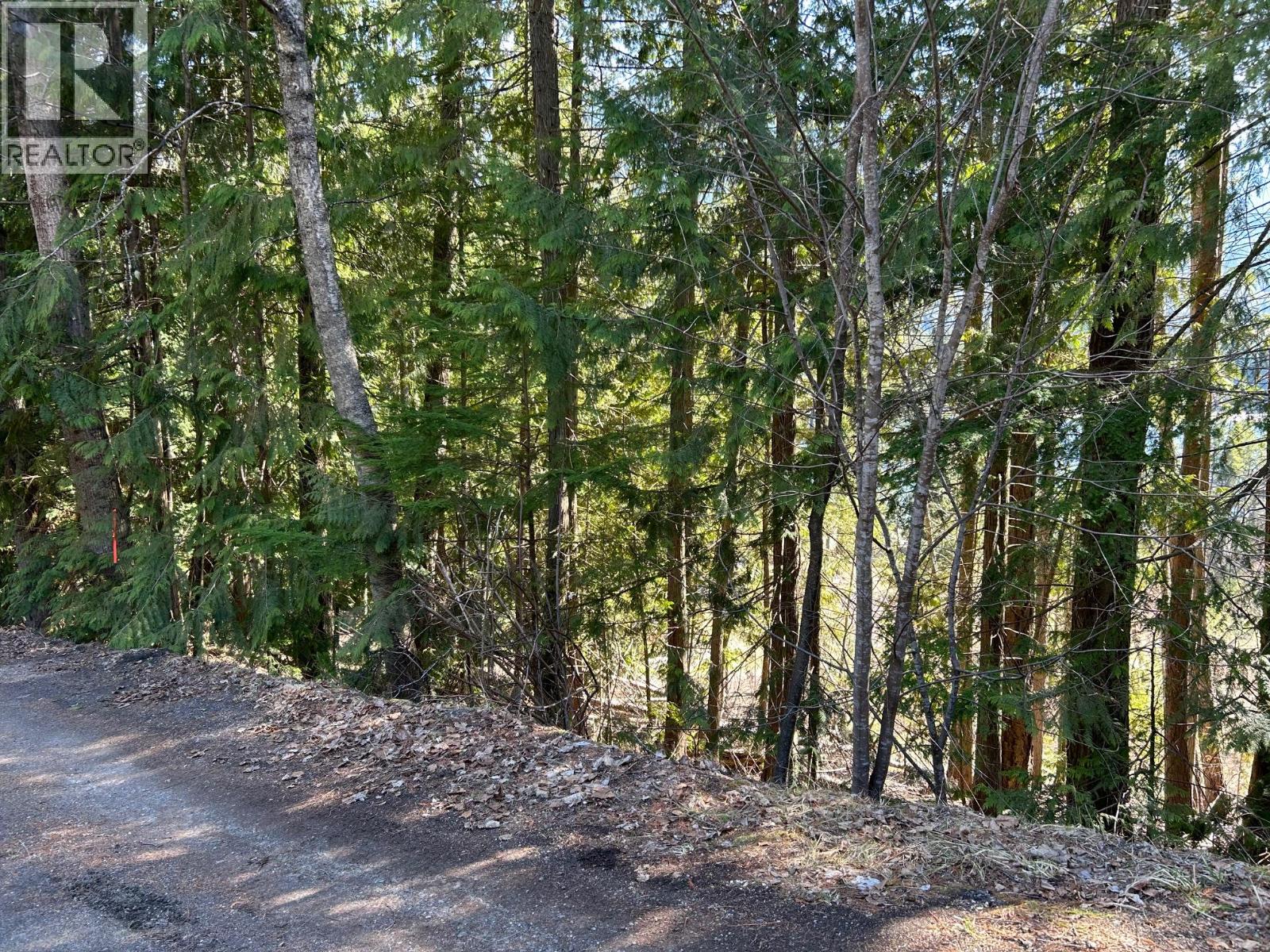 7416 3a Highway, Balfour, British Columbia  V1L 7E9 - Photo 17 - 10342217