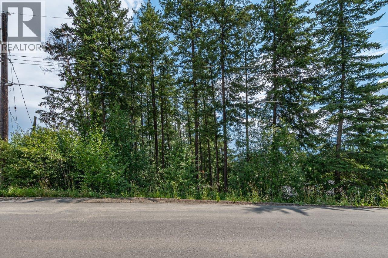 Lot 25 Forest View Place, Blind Bay, British Columbia  V0E 1H1 - Photo 25 - 10278634